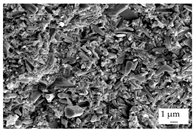 Polymers 16 02917 i010