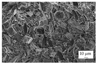 Polymers 16 02917 i012