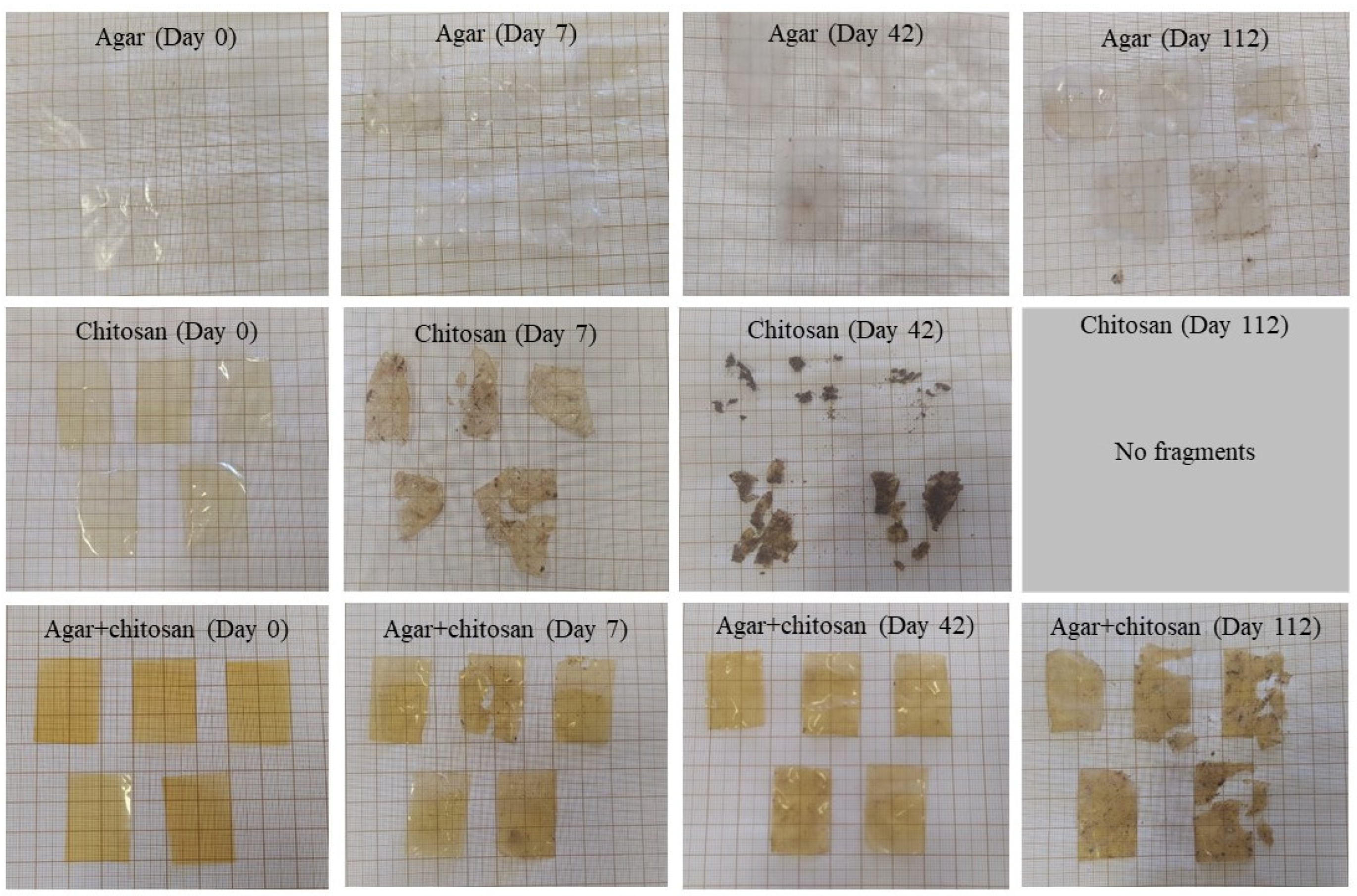Polymers 16 02940 g005