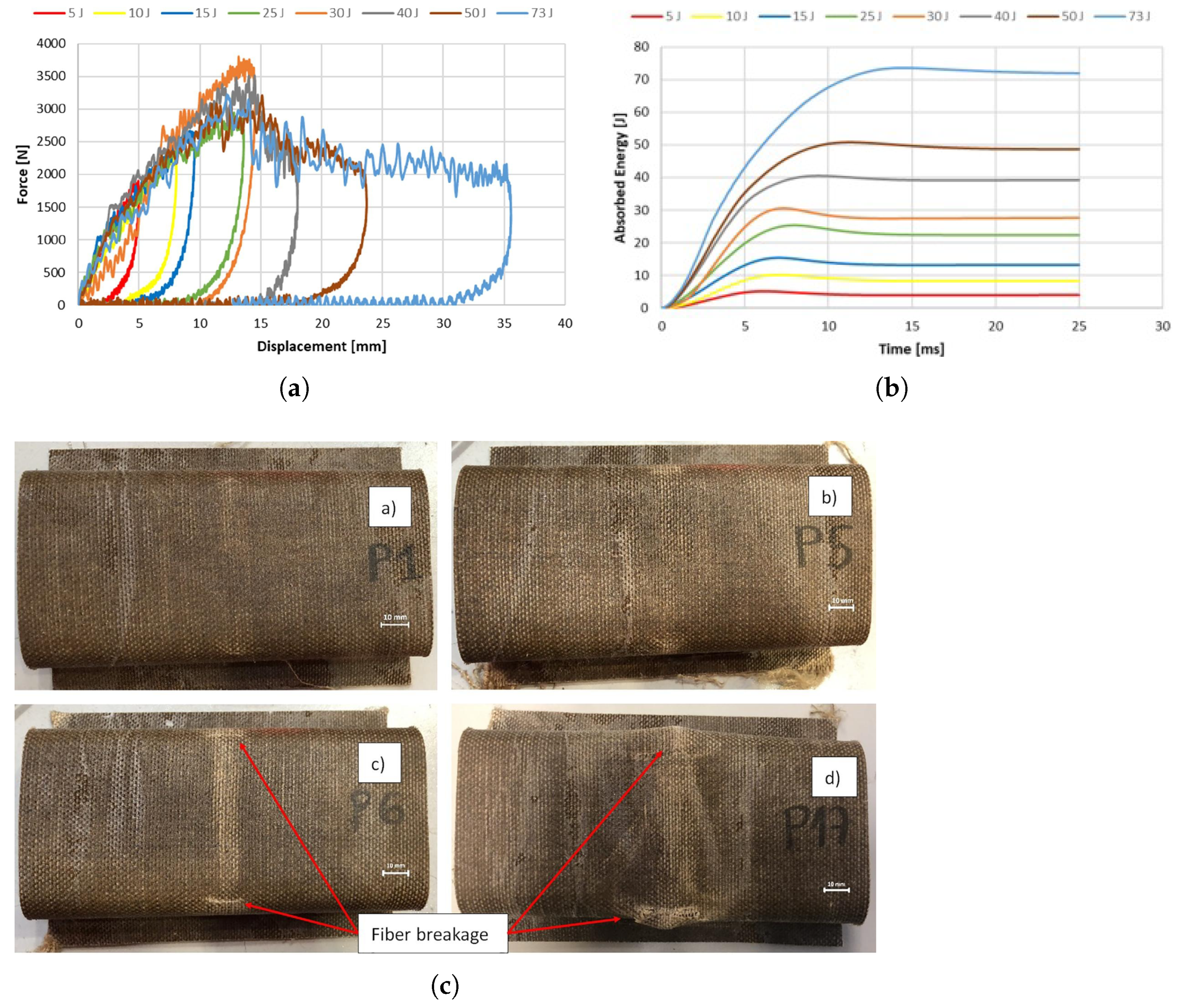 Polymers 16 03059 g003