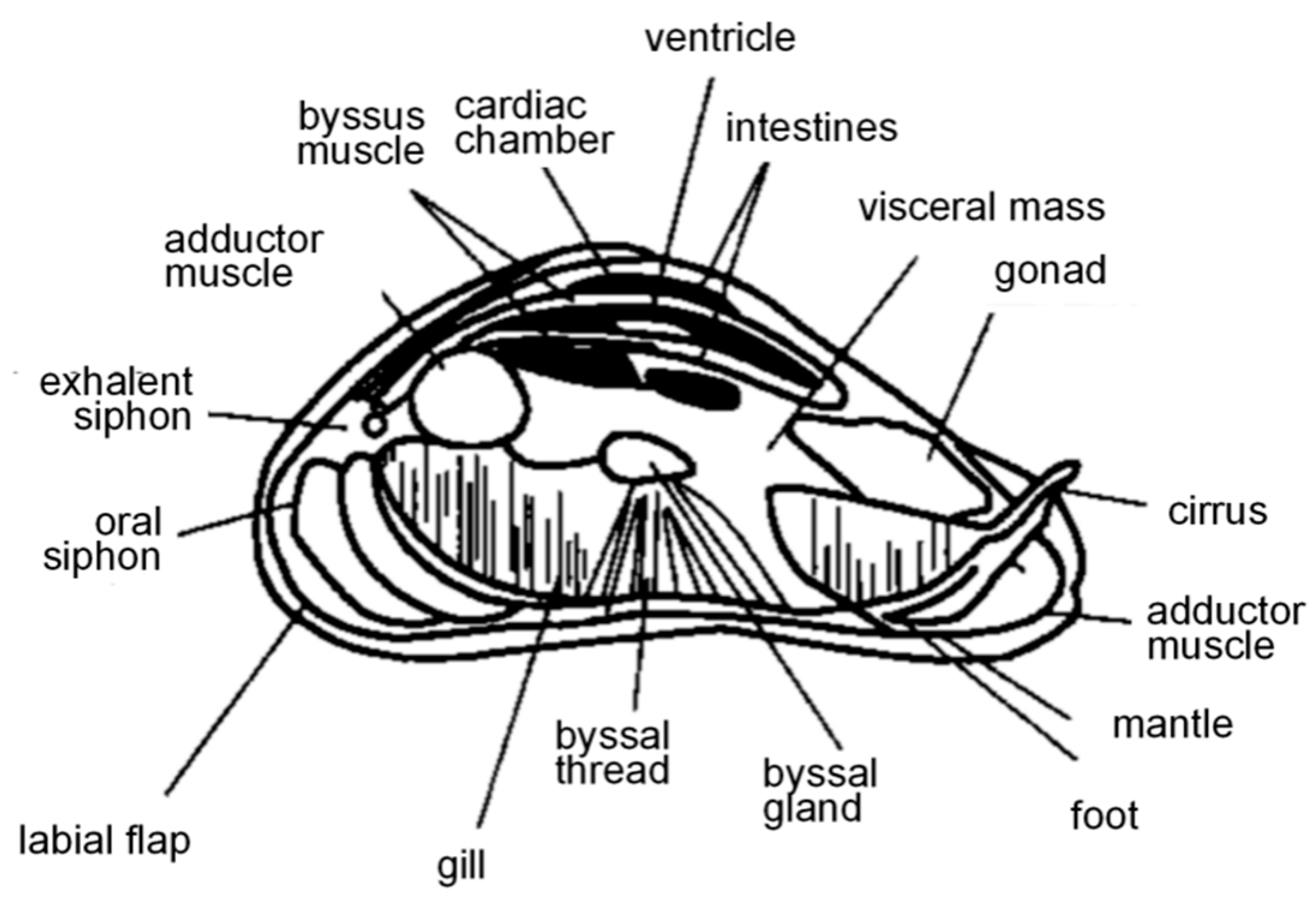 Polymers 16 03070 g001