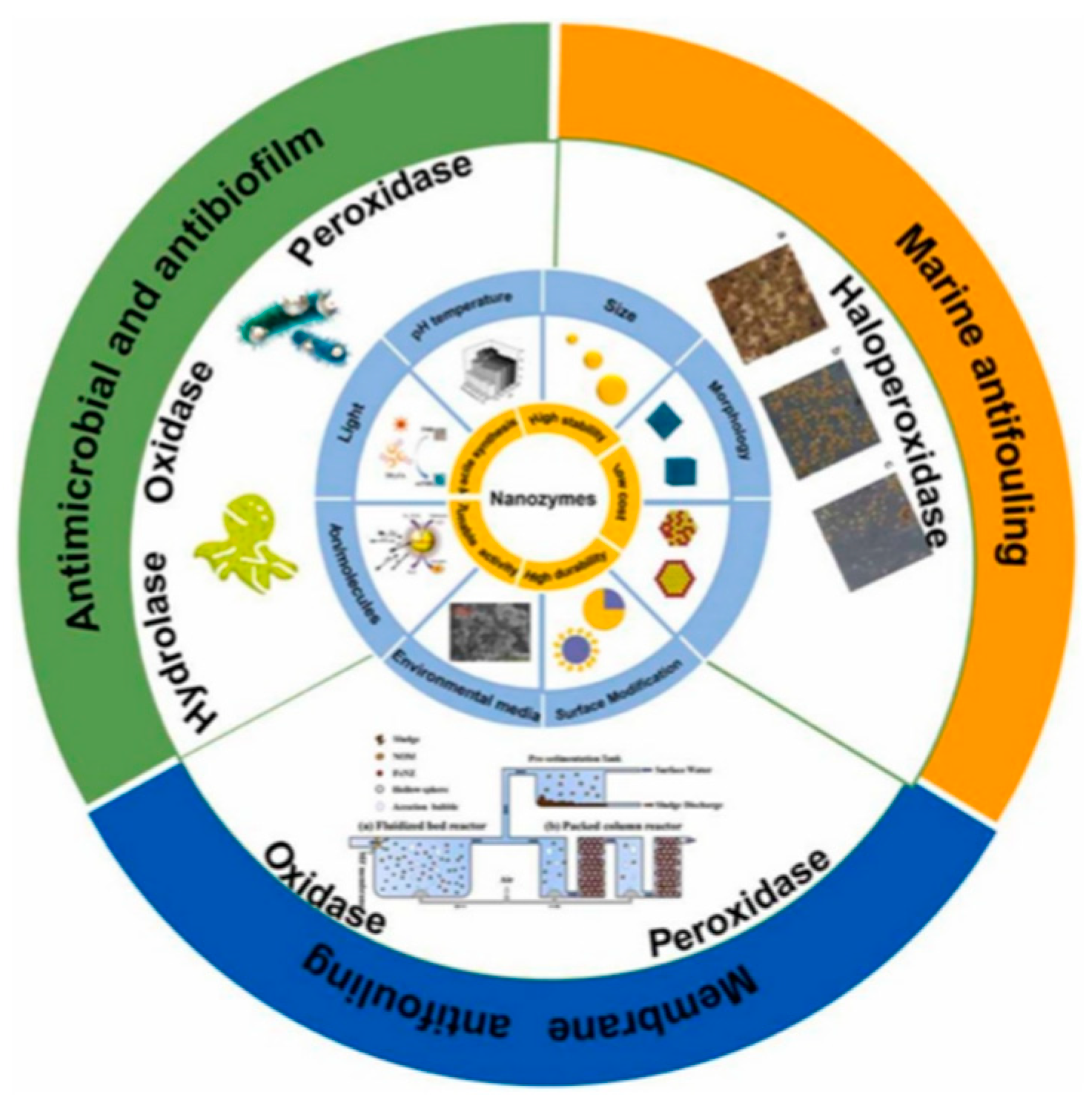 Polymers 16 03070 g005