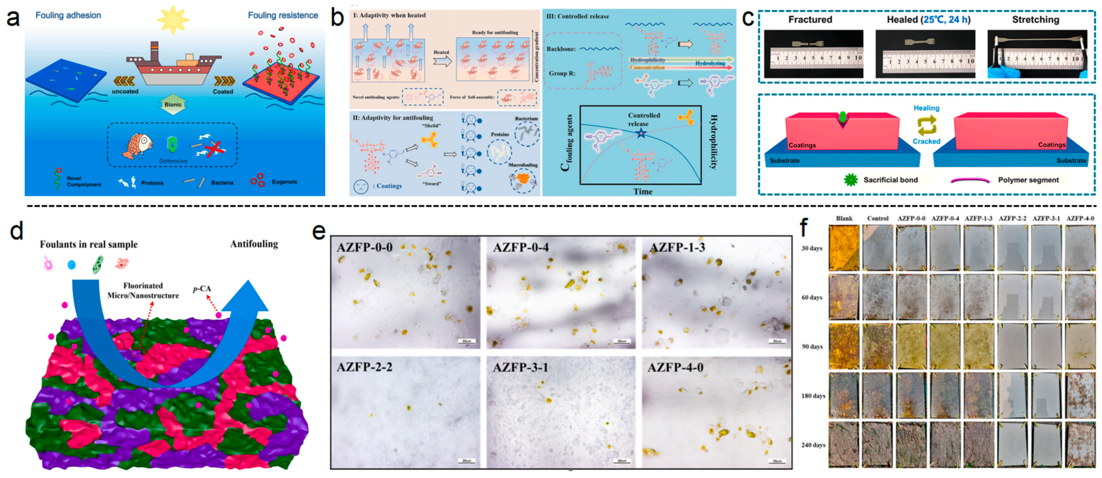 Polymers 16 03070 g007