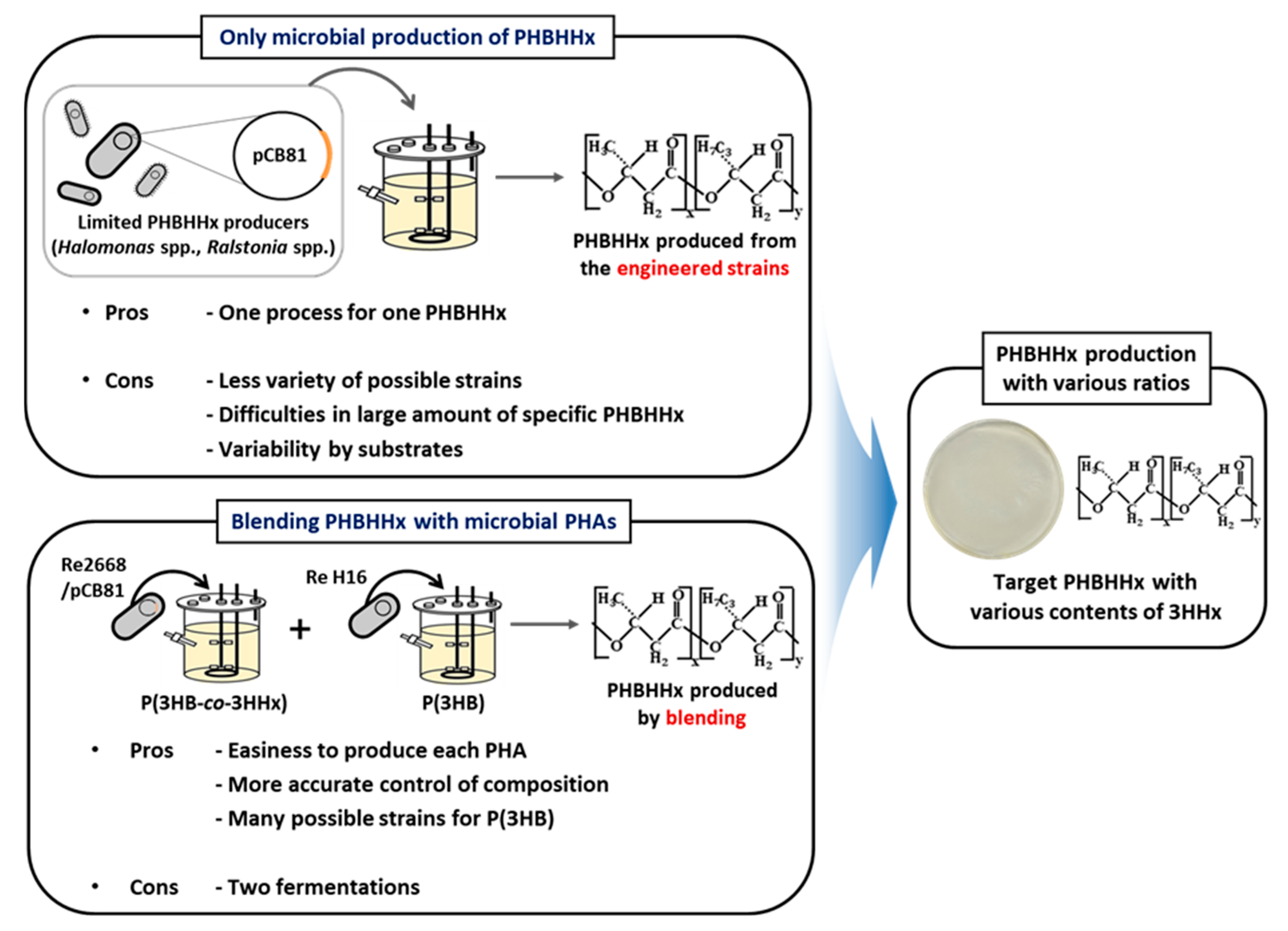 Polymers 16 03077 g001