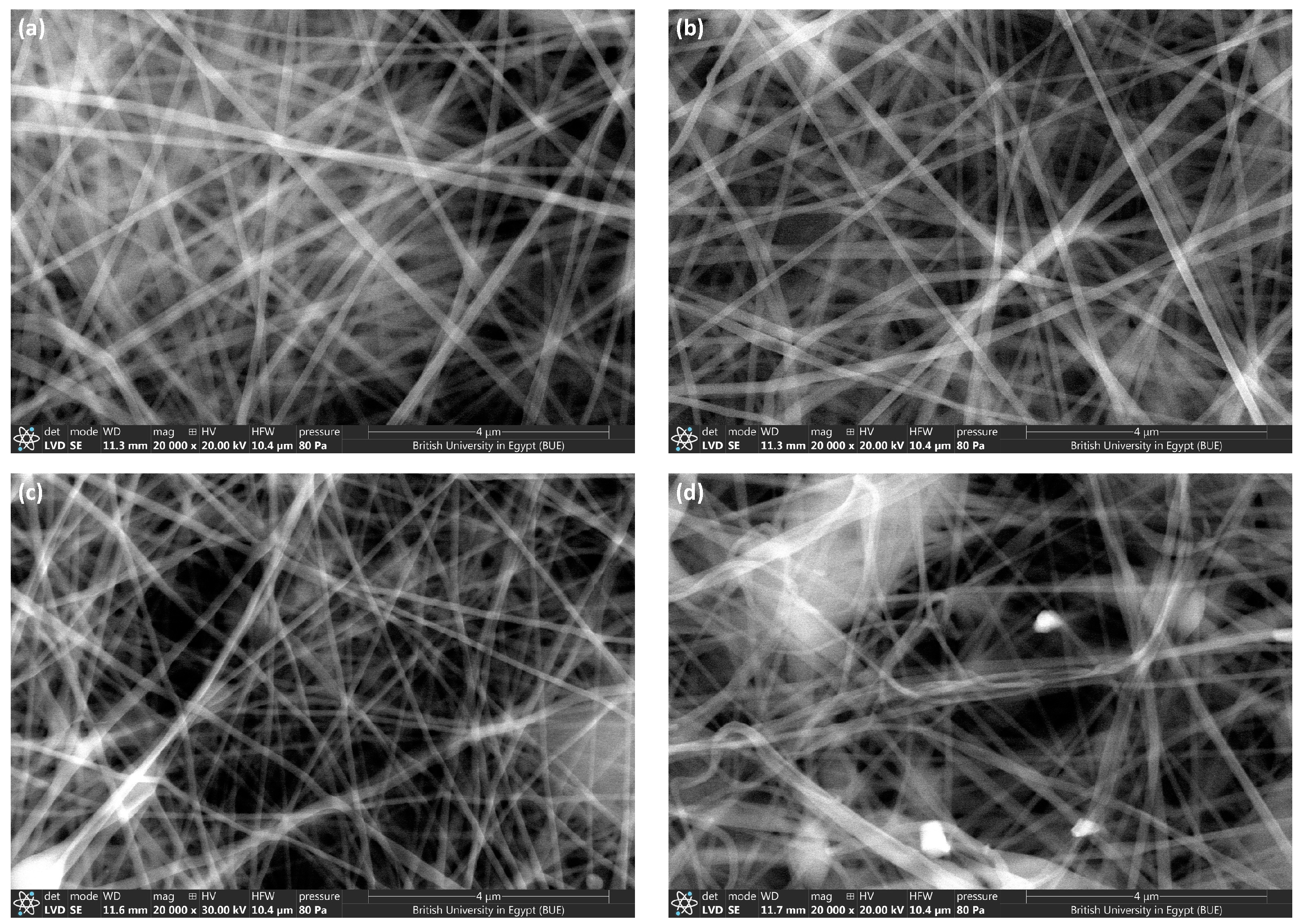 Polymers 16 03099 g003