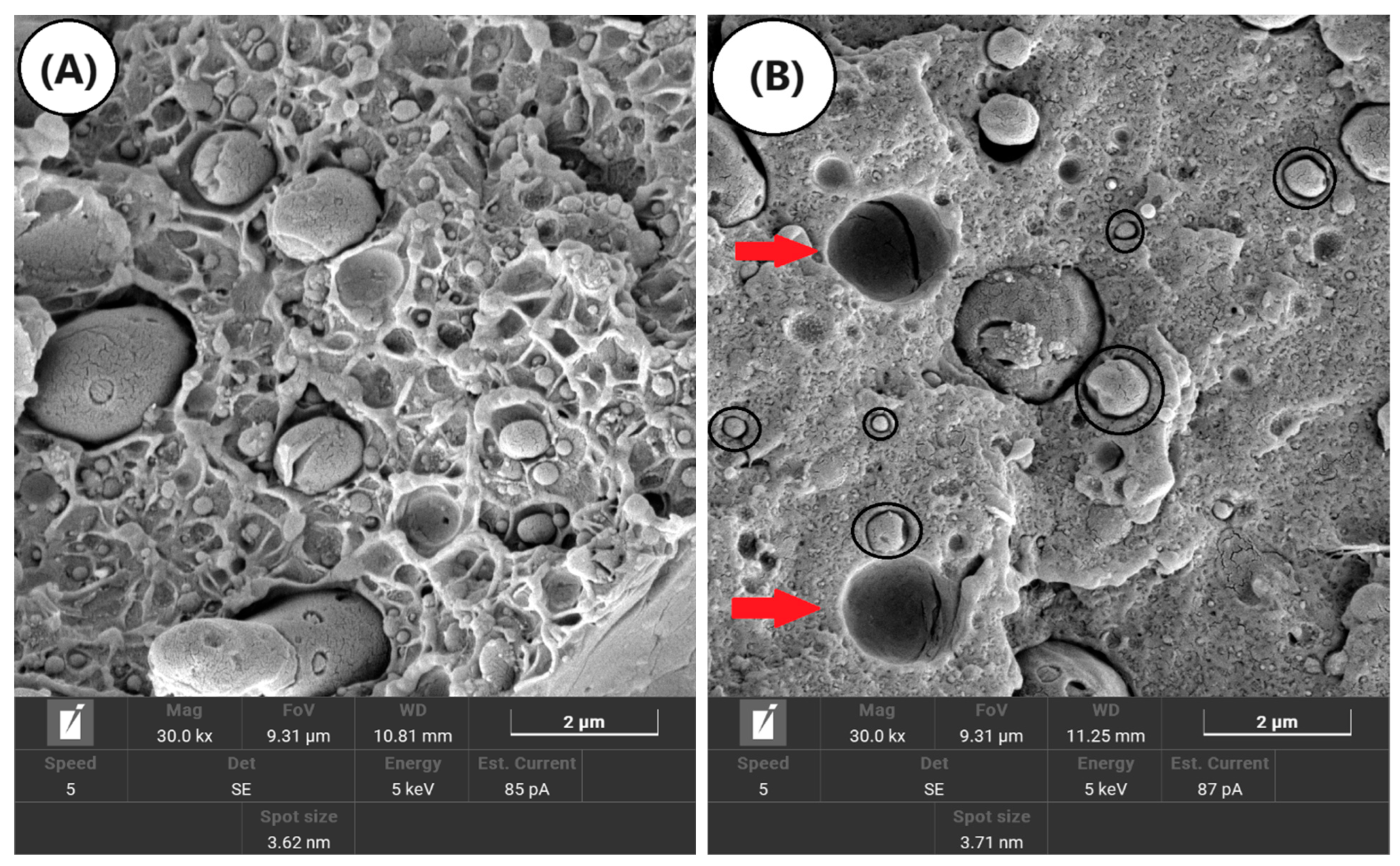 Polymers 16 03103 g012a Polymers 16 03103 g012a