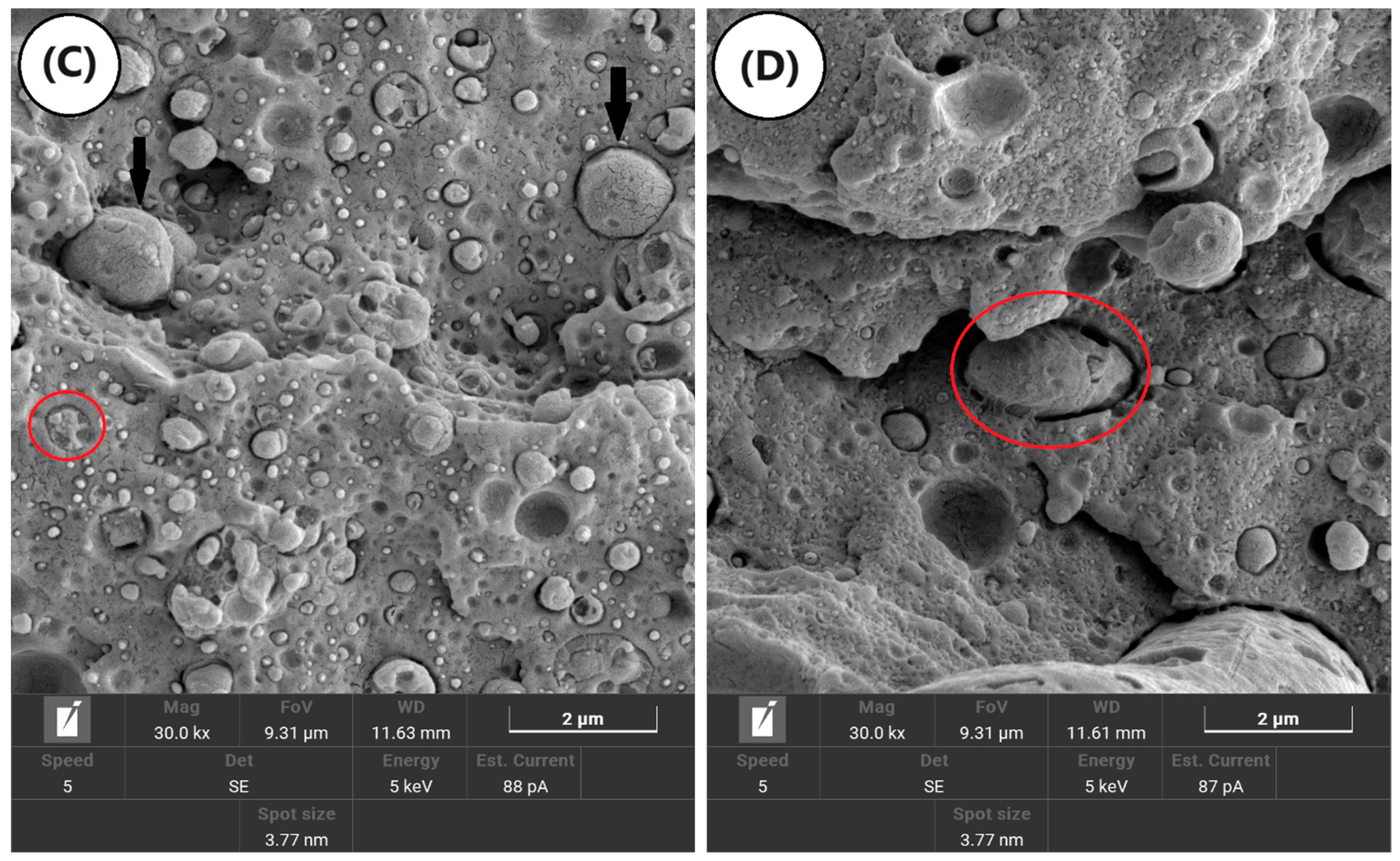 Polymers 16 03103 g012b Polymers 16 03103 g012b