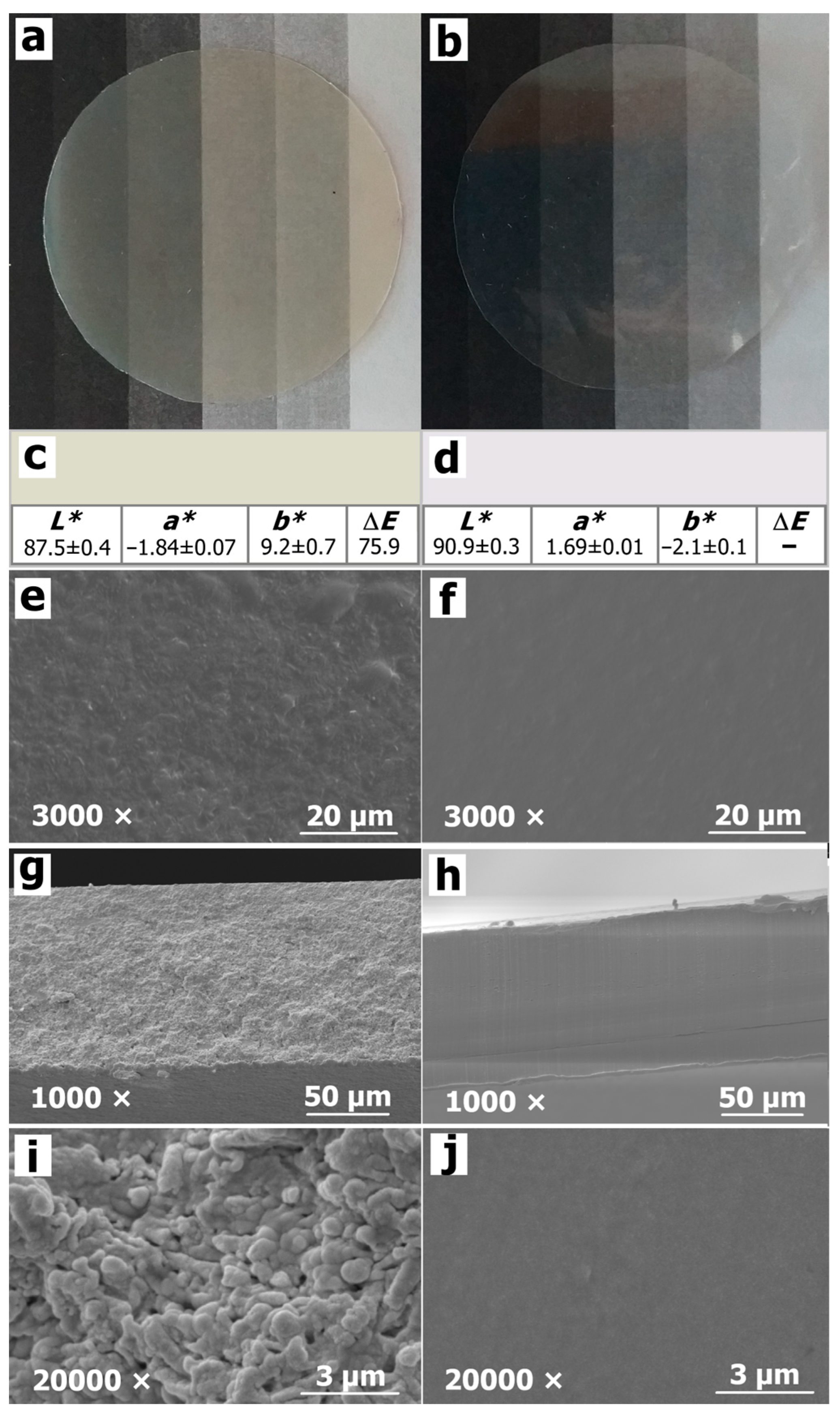 Polymers 16 03106 g002