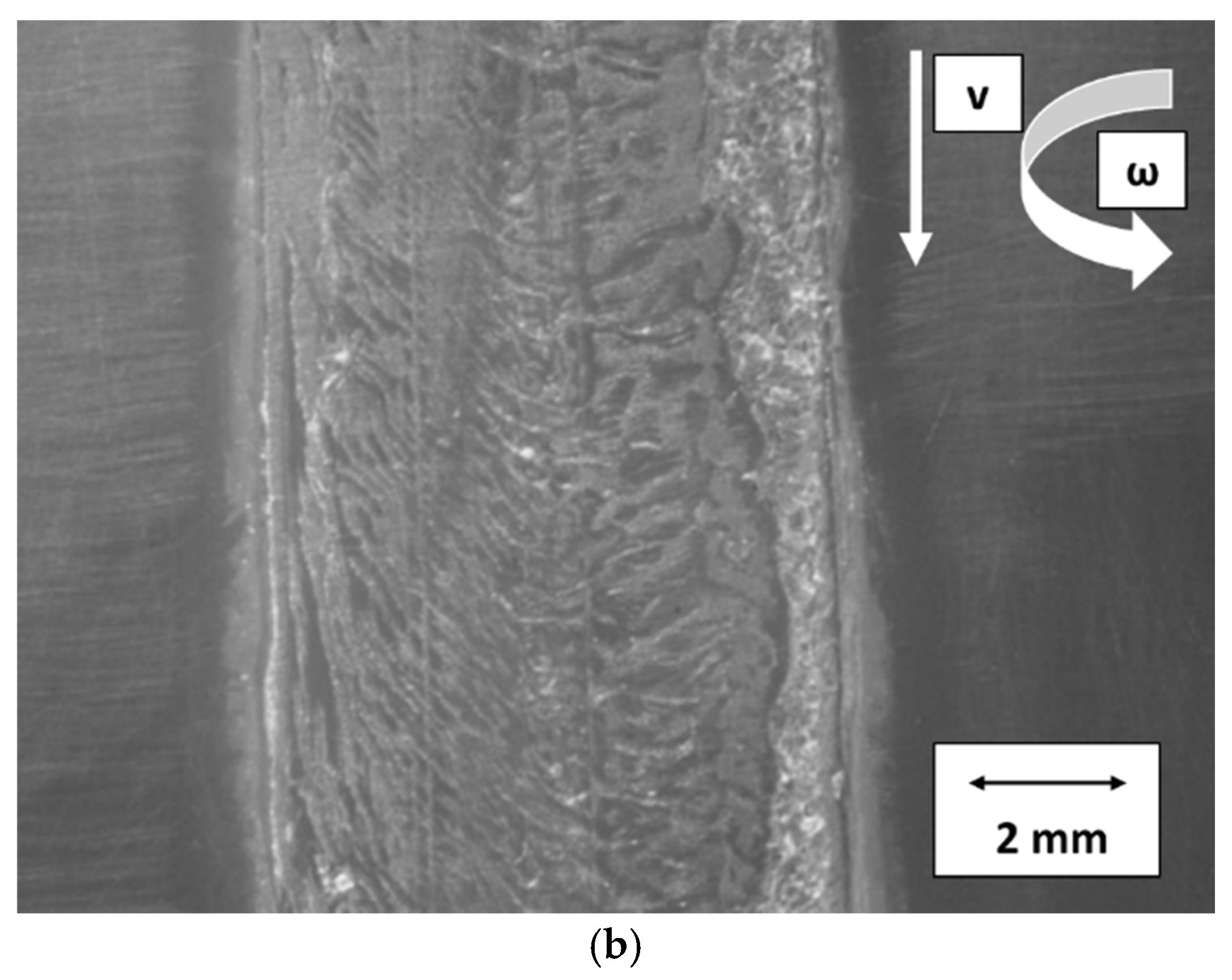 Polymers 16 03110 g006b