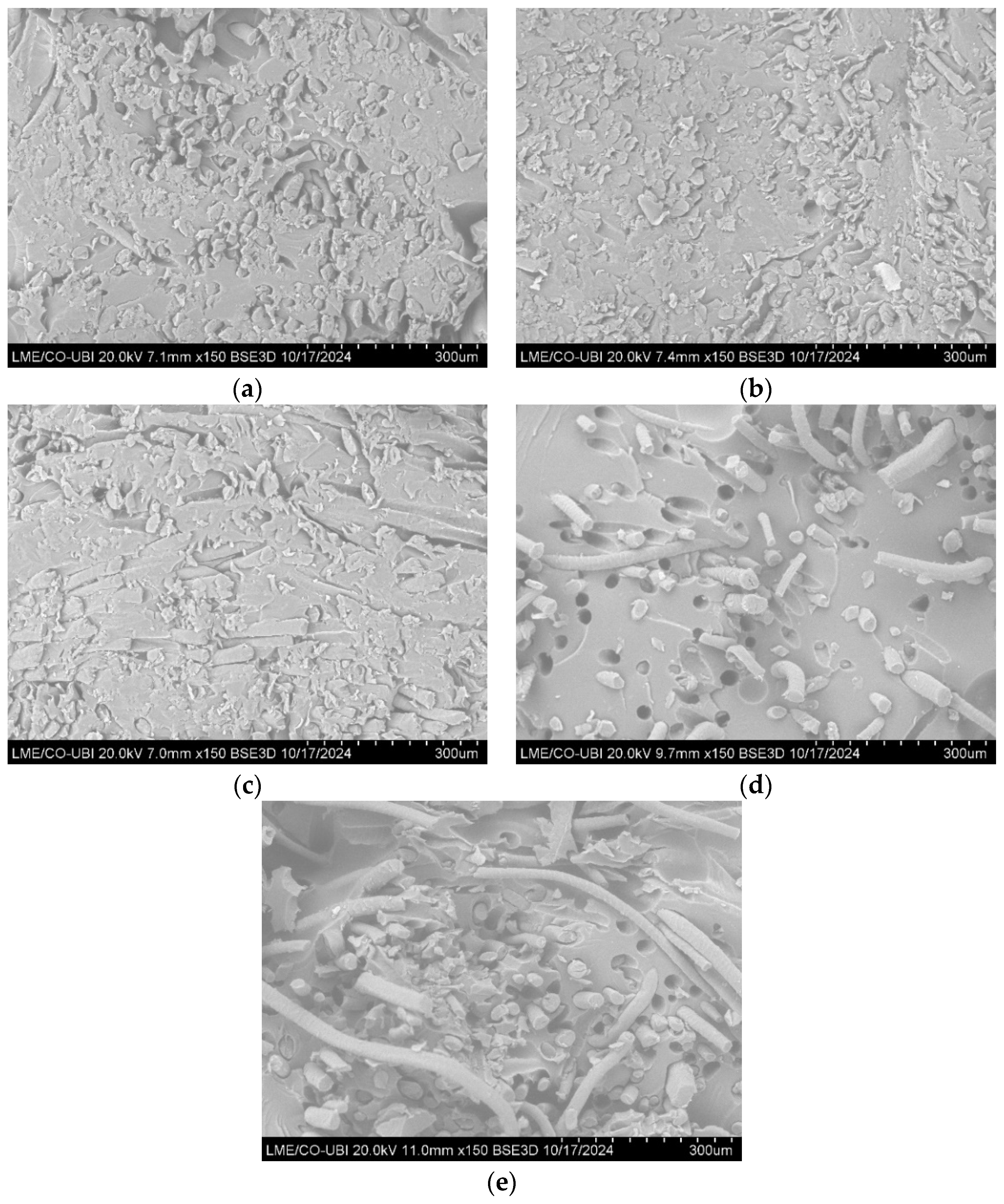 Polymers 16 03115 g015