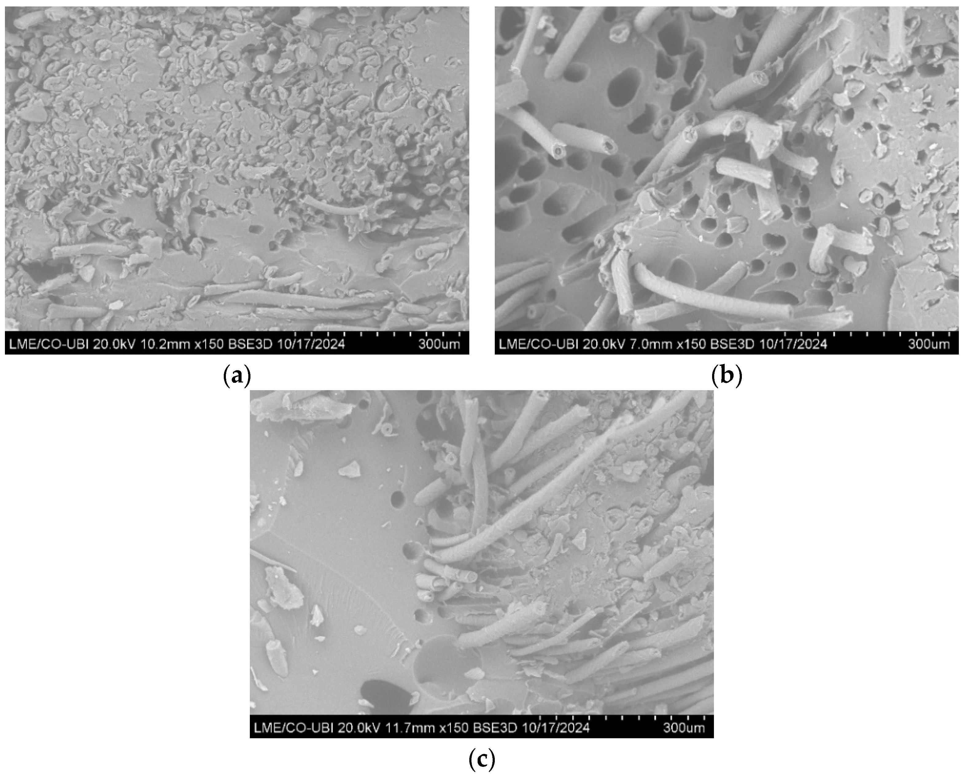 Polymers 16 03115 g016
