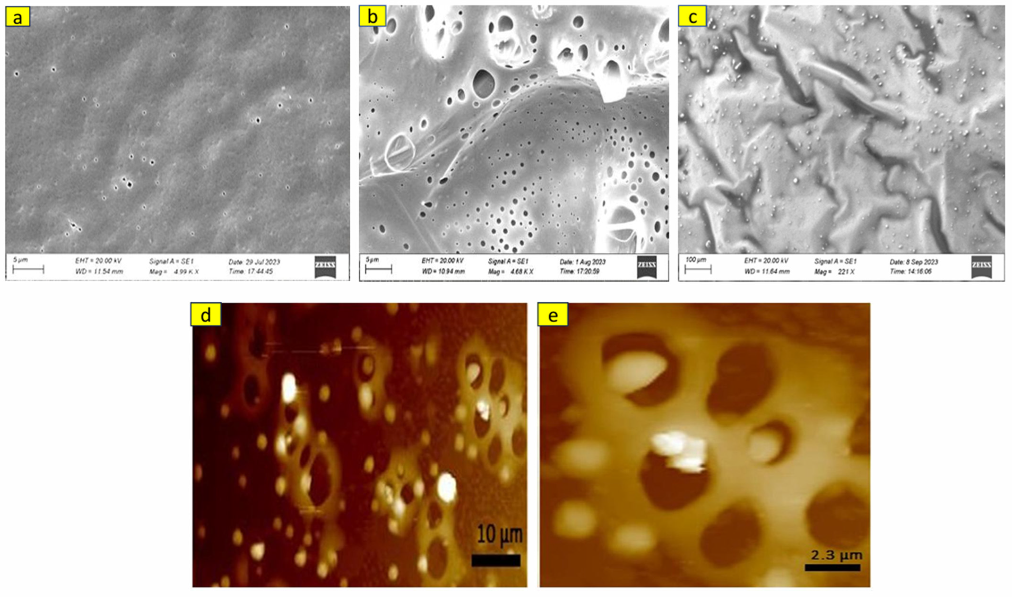Polymers 16 03117 g010