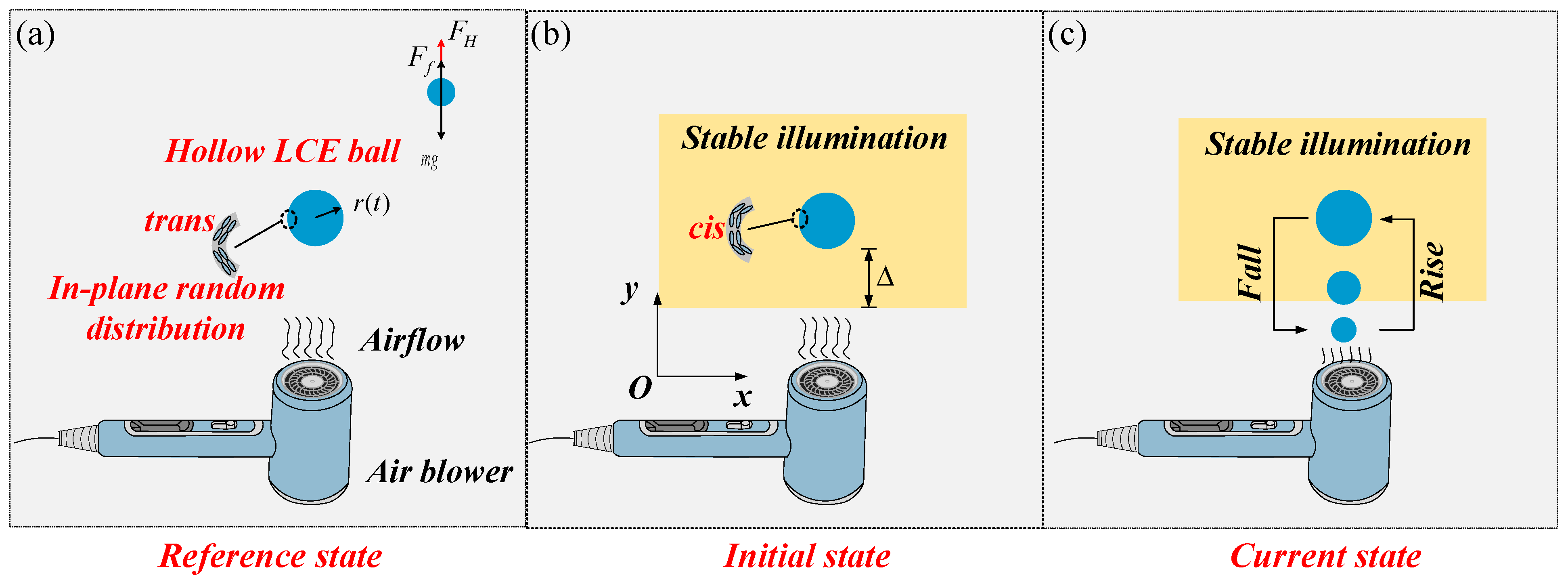 Polymers 16 03119 g001