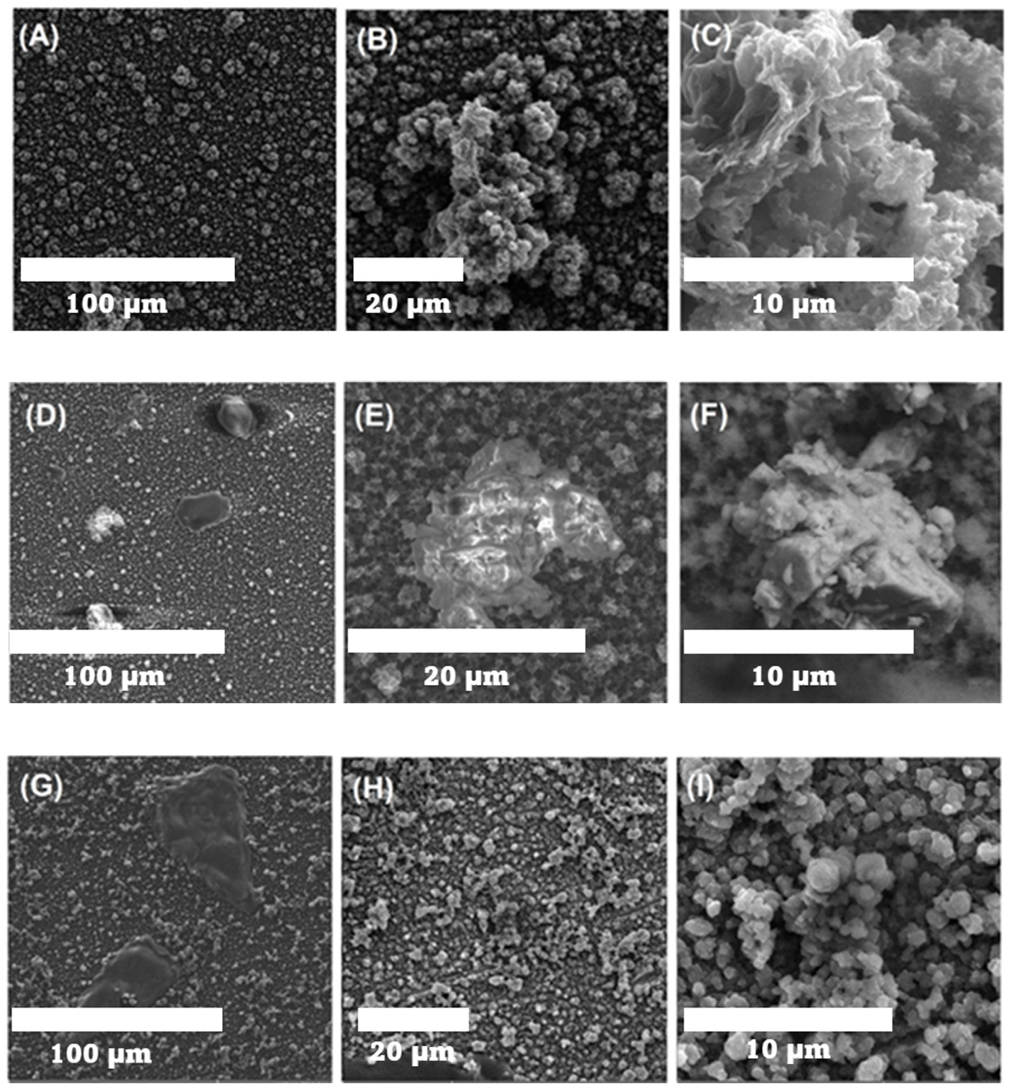 Polymers 16 03134 g006