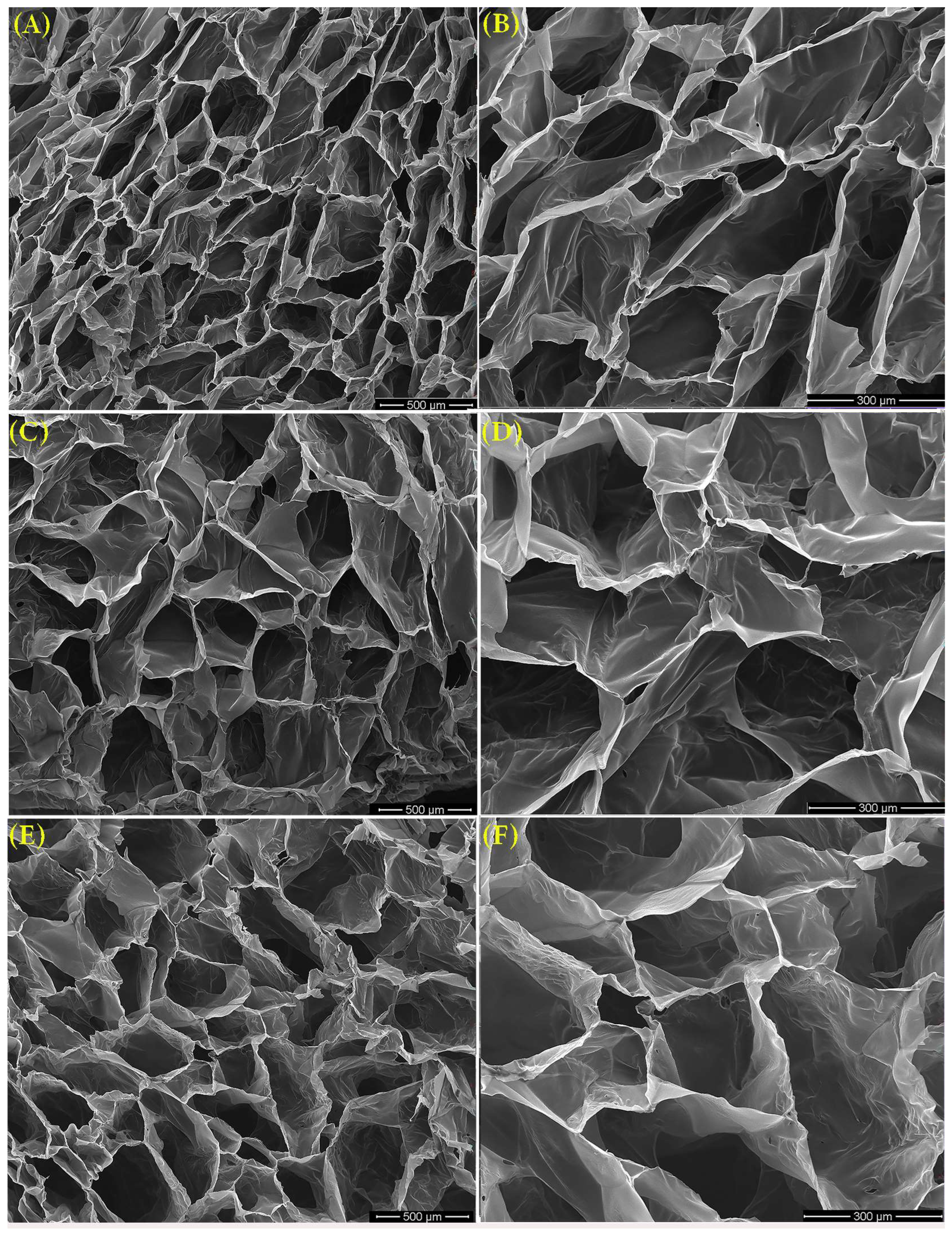 Polymers 16 03150 g011