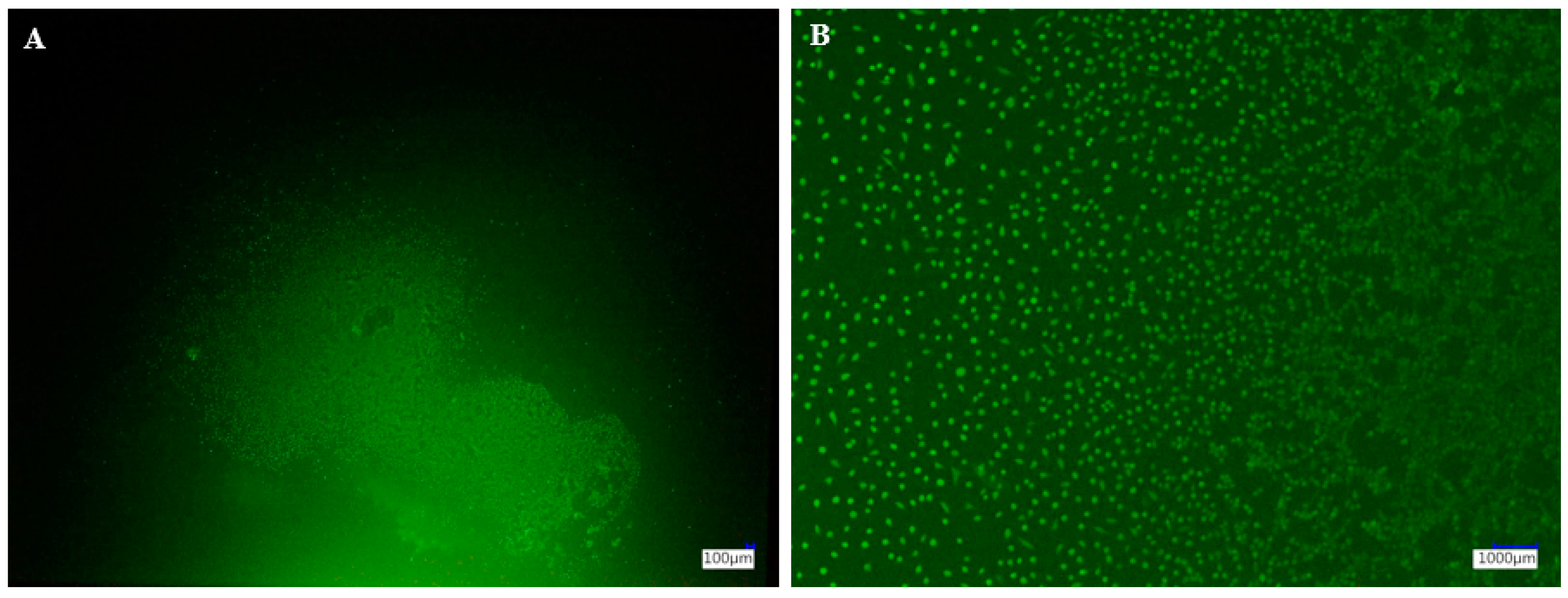 Polymers 16 03161 g010