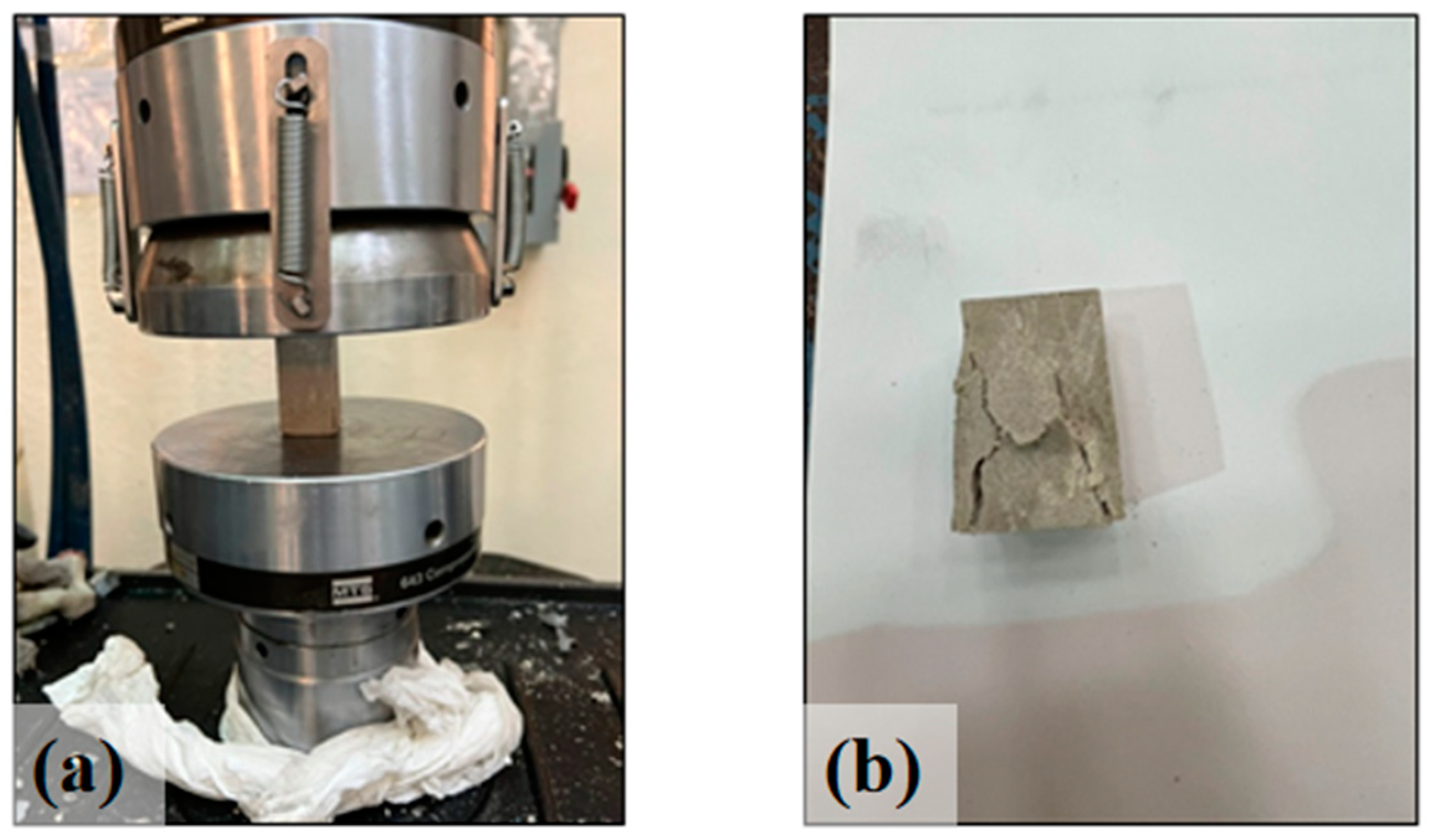 Polymers 16 03185 g004
