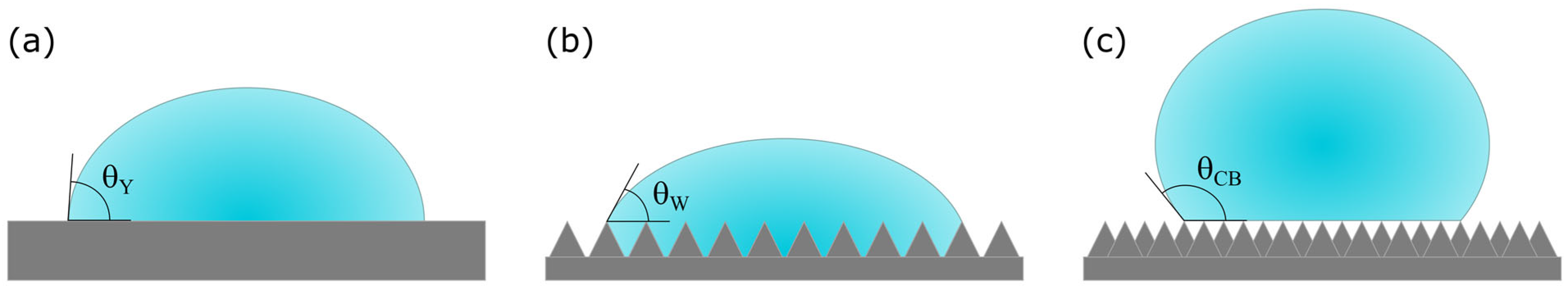 Polymers 16 03190 g001