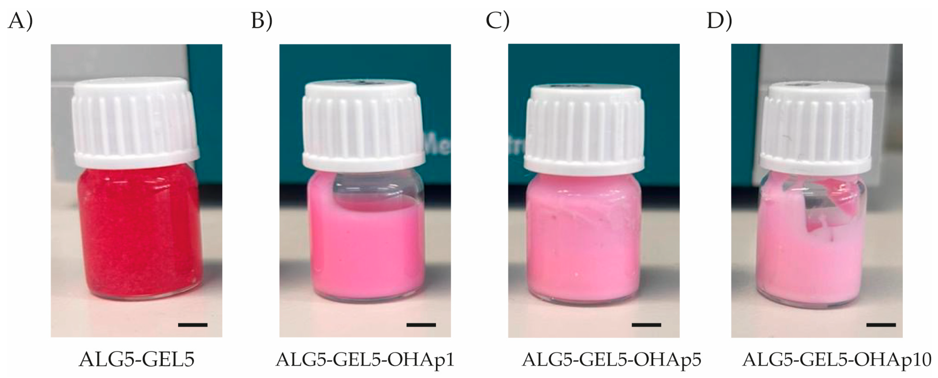Polymers 16 03224 g001