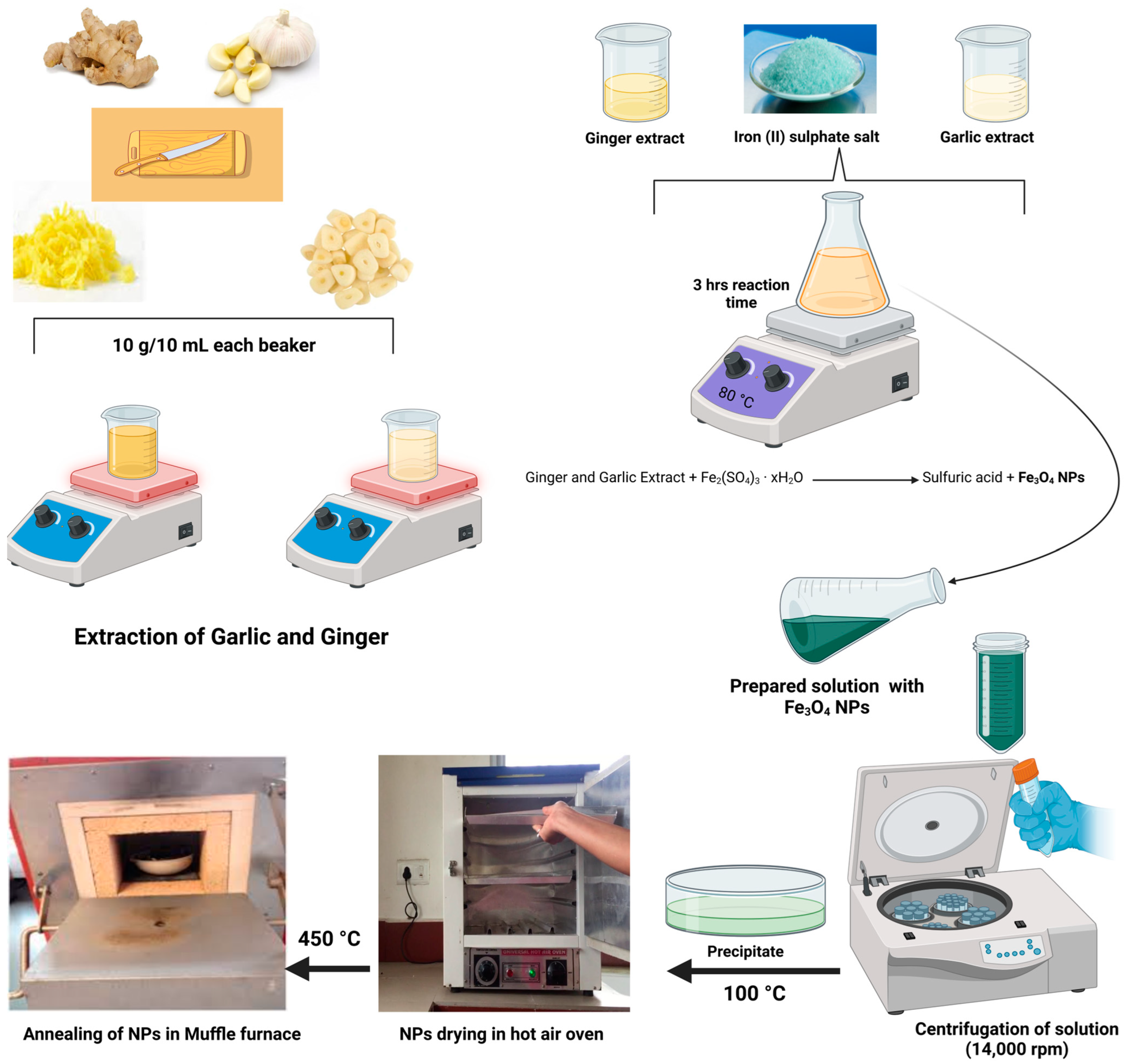 Polymers 16 03239 g002