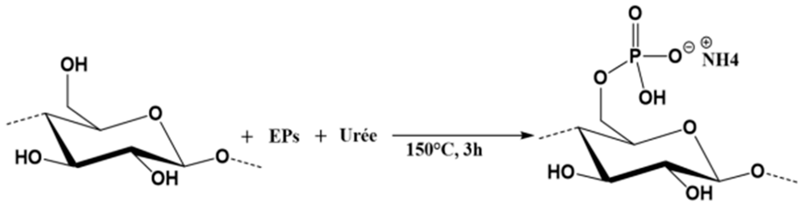 Polymers 16 03242 g001