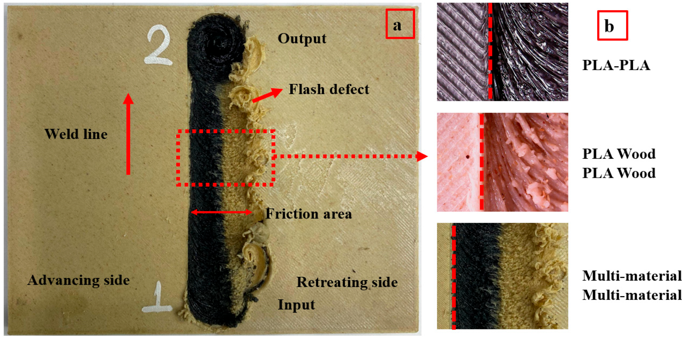 Polymers 16 03249 g007