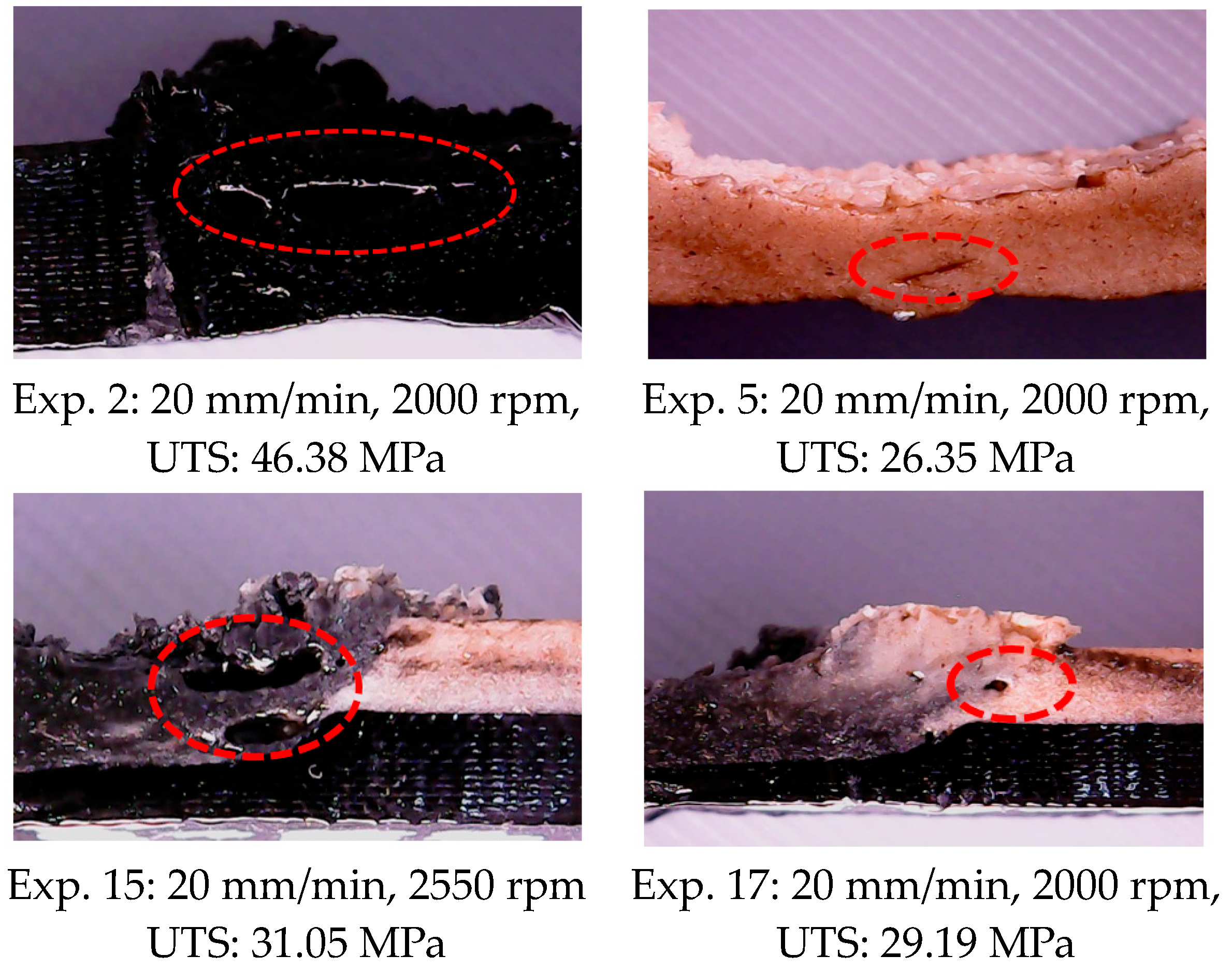 Polymers 16 03249 g009