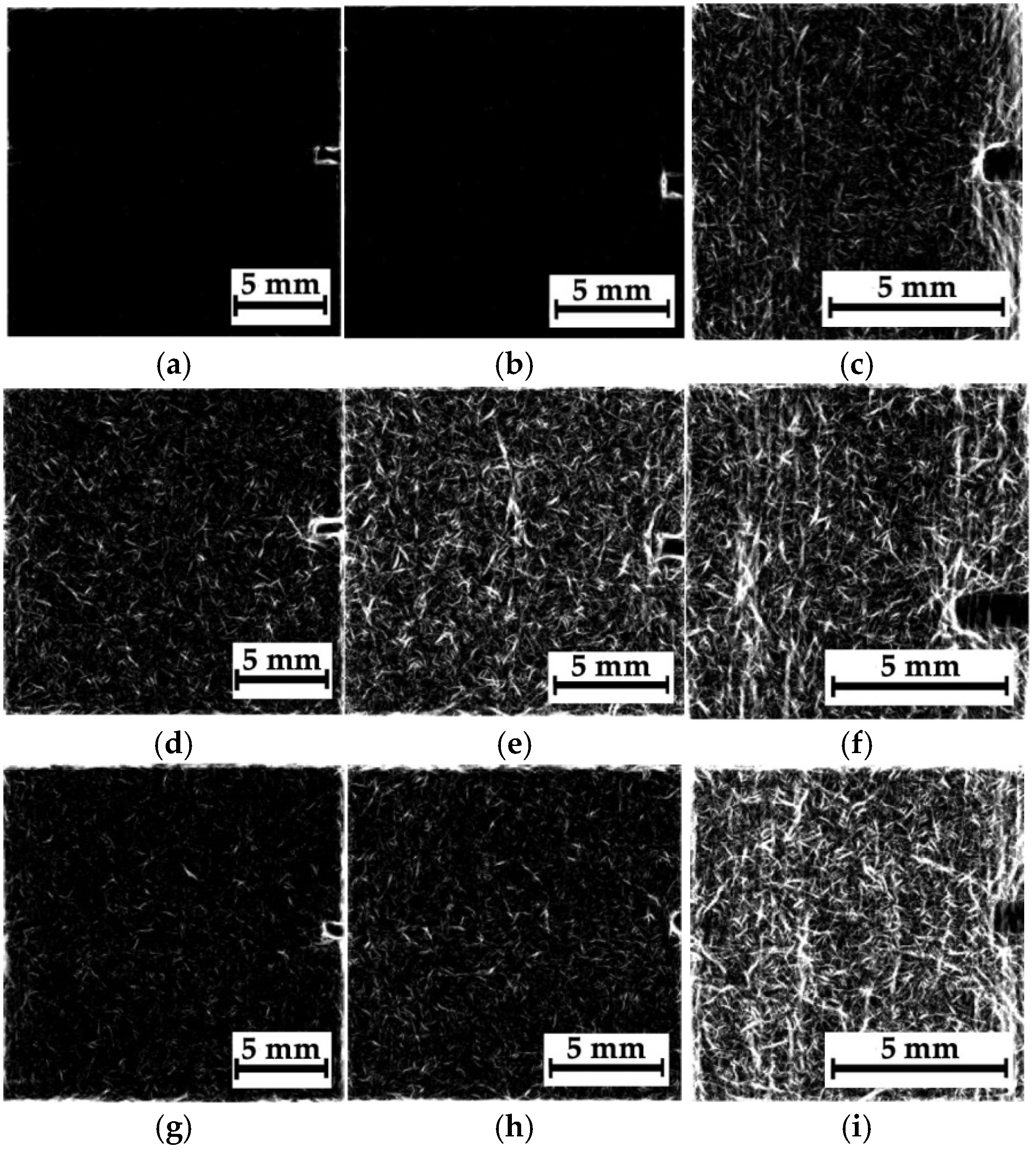 Polymers 16 03262 g009 Polymers 16 03262 g009