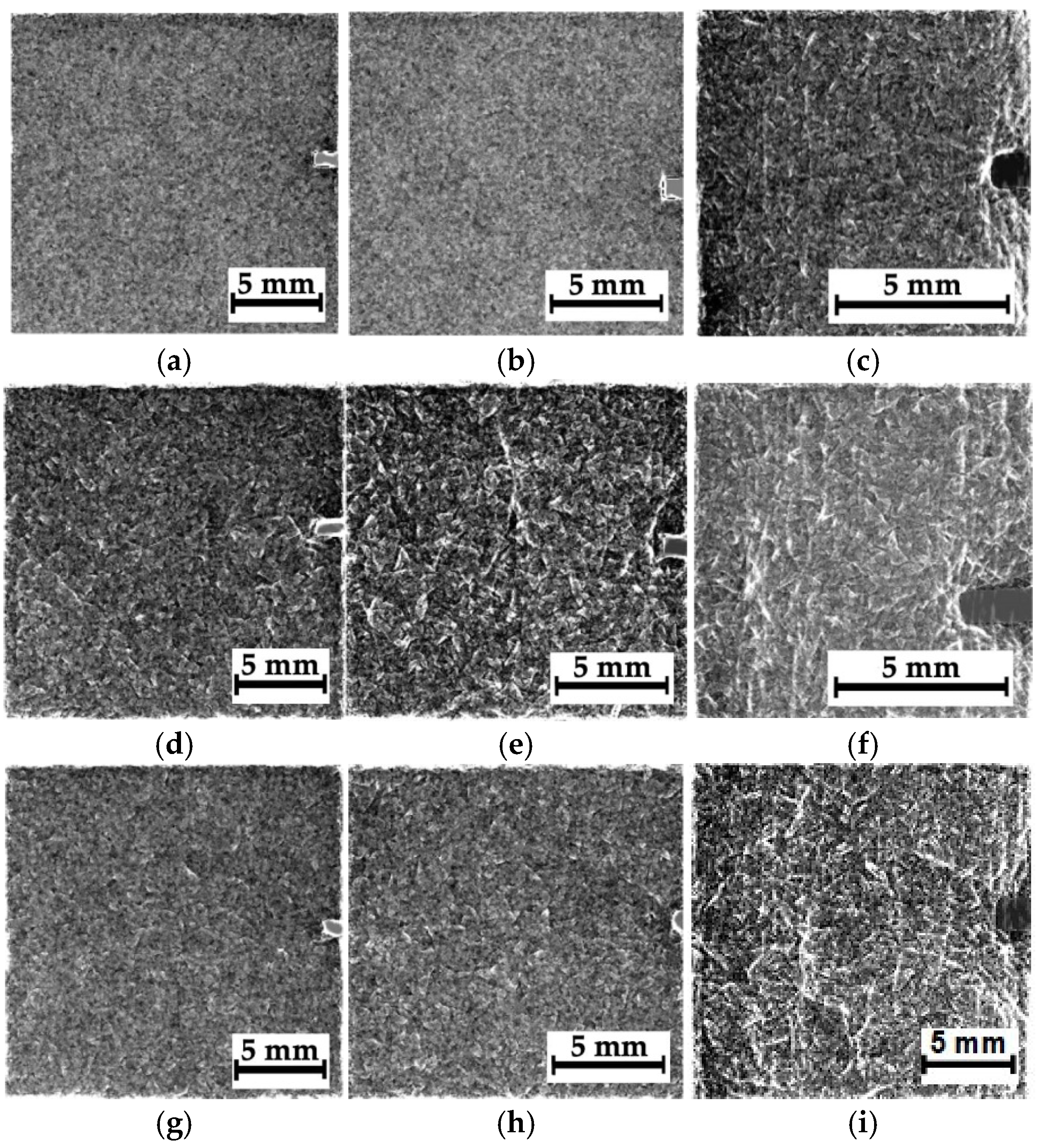Polymers 16 03262 g010 Polymers 16 03262 g010