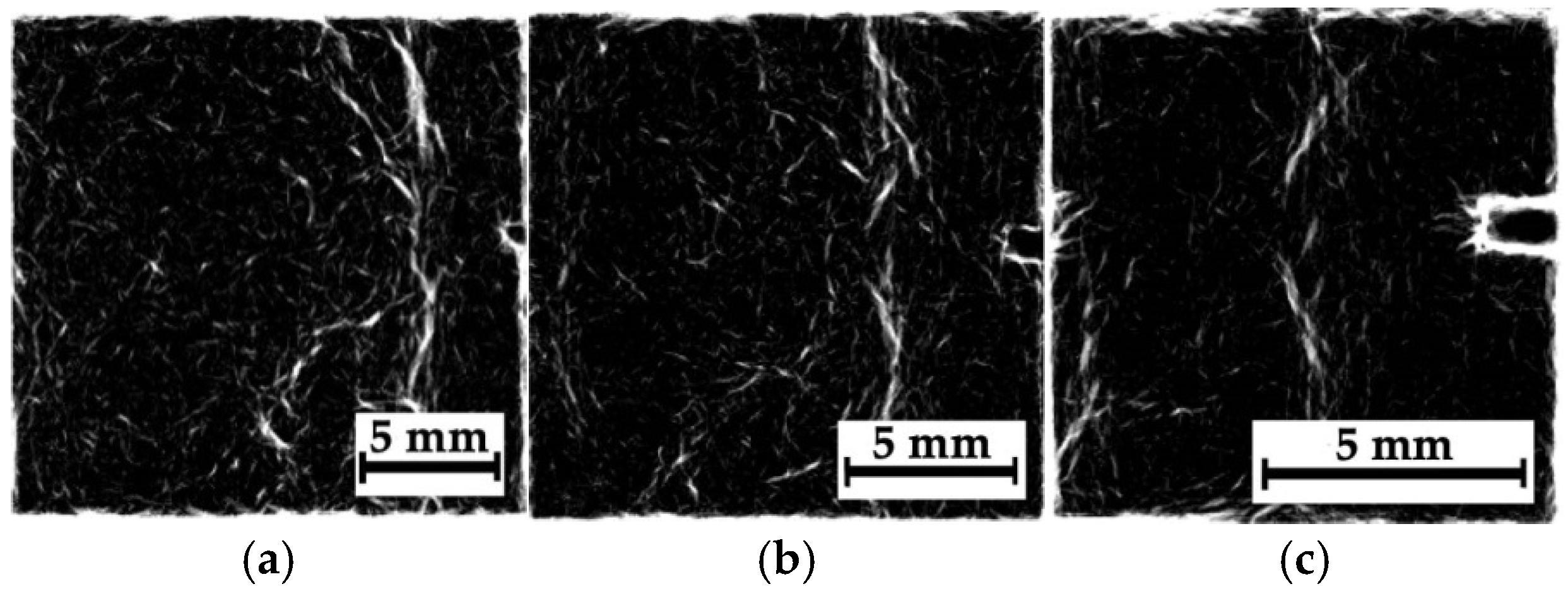 Polymers 16 03262 g012a Polymers 16 03262 g012a
