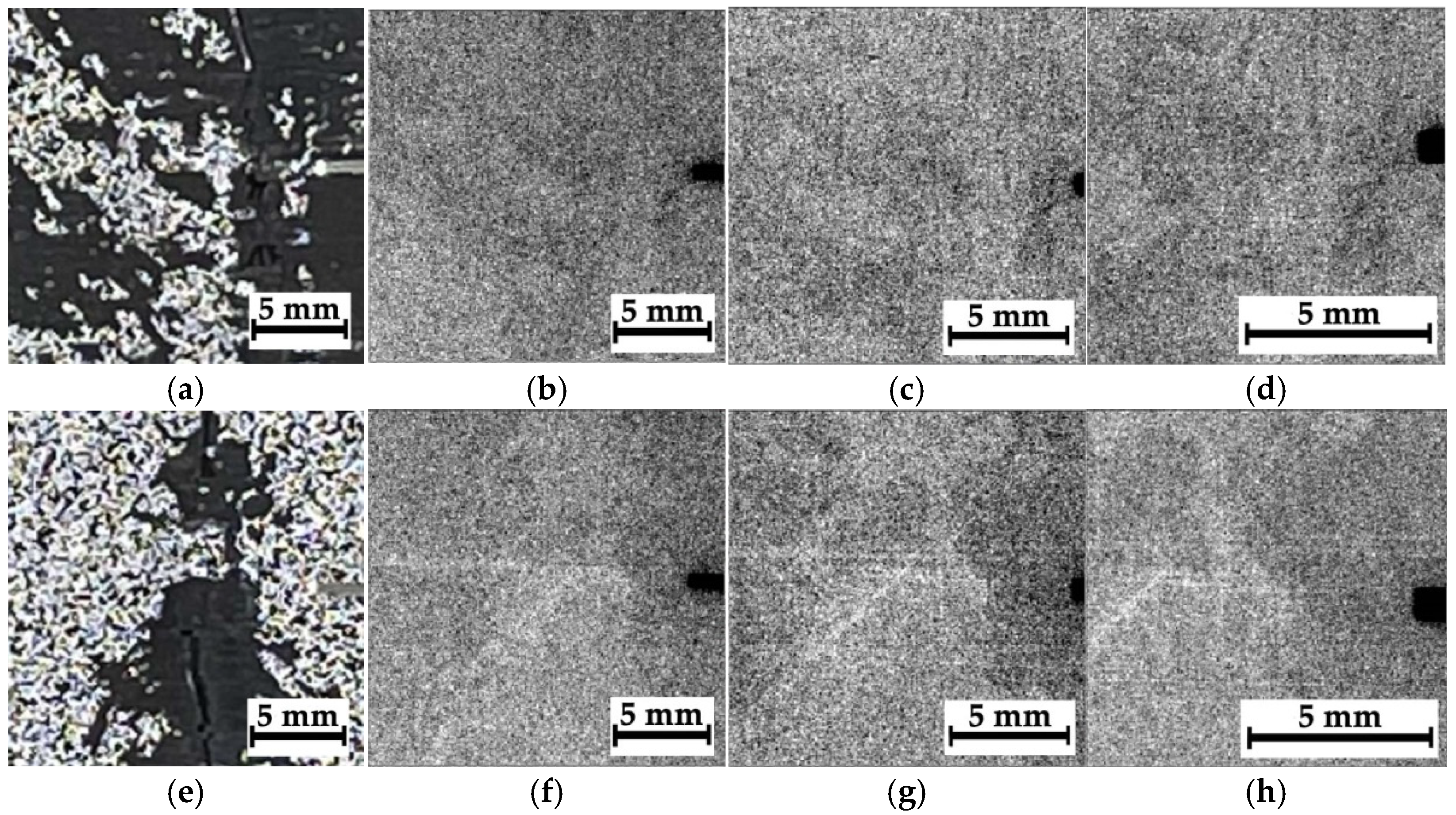 Polymers 16 03262 g013a Polymers 16 03262 g013a