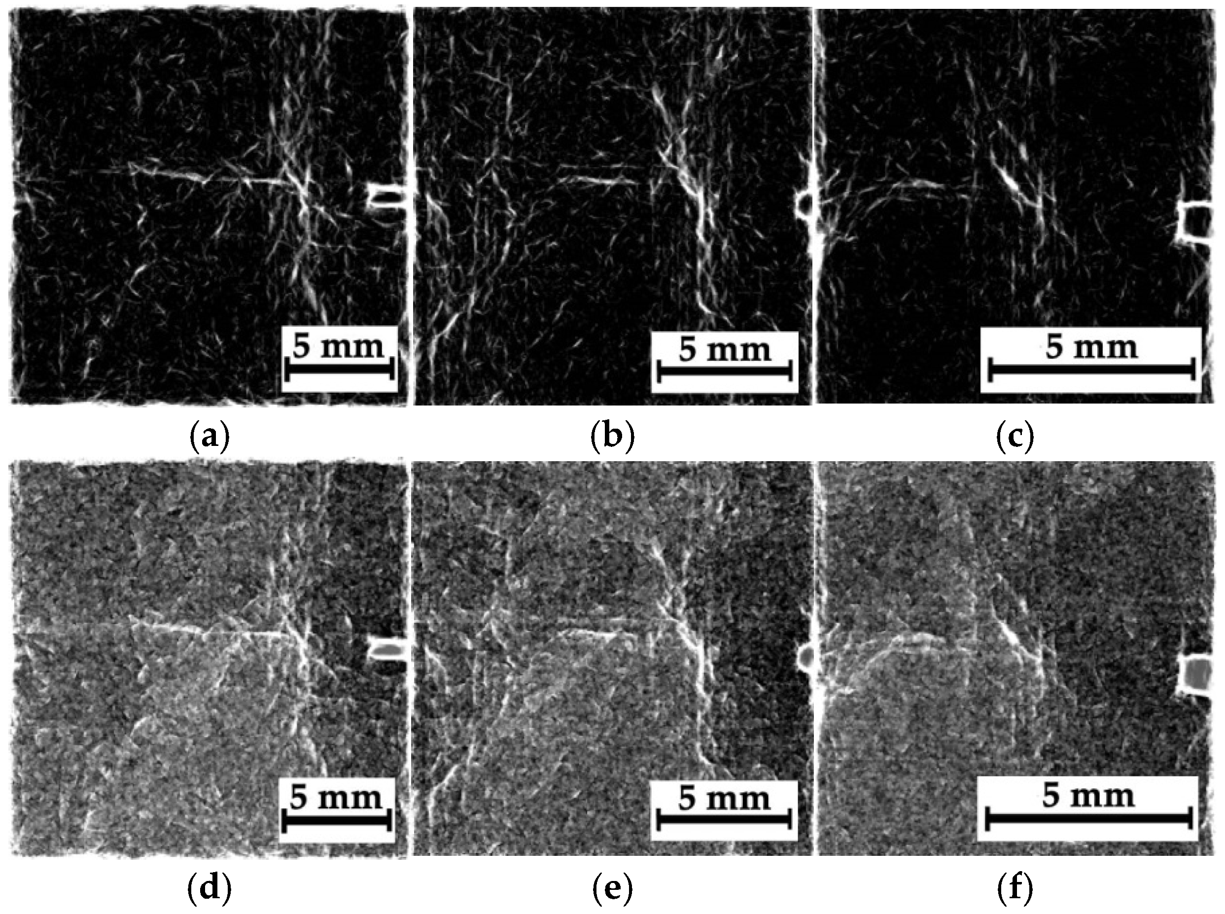 Polymers 16 03262 g014 Polymers 16 03262 g014