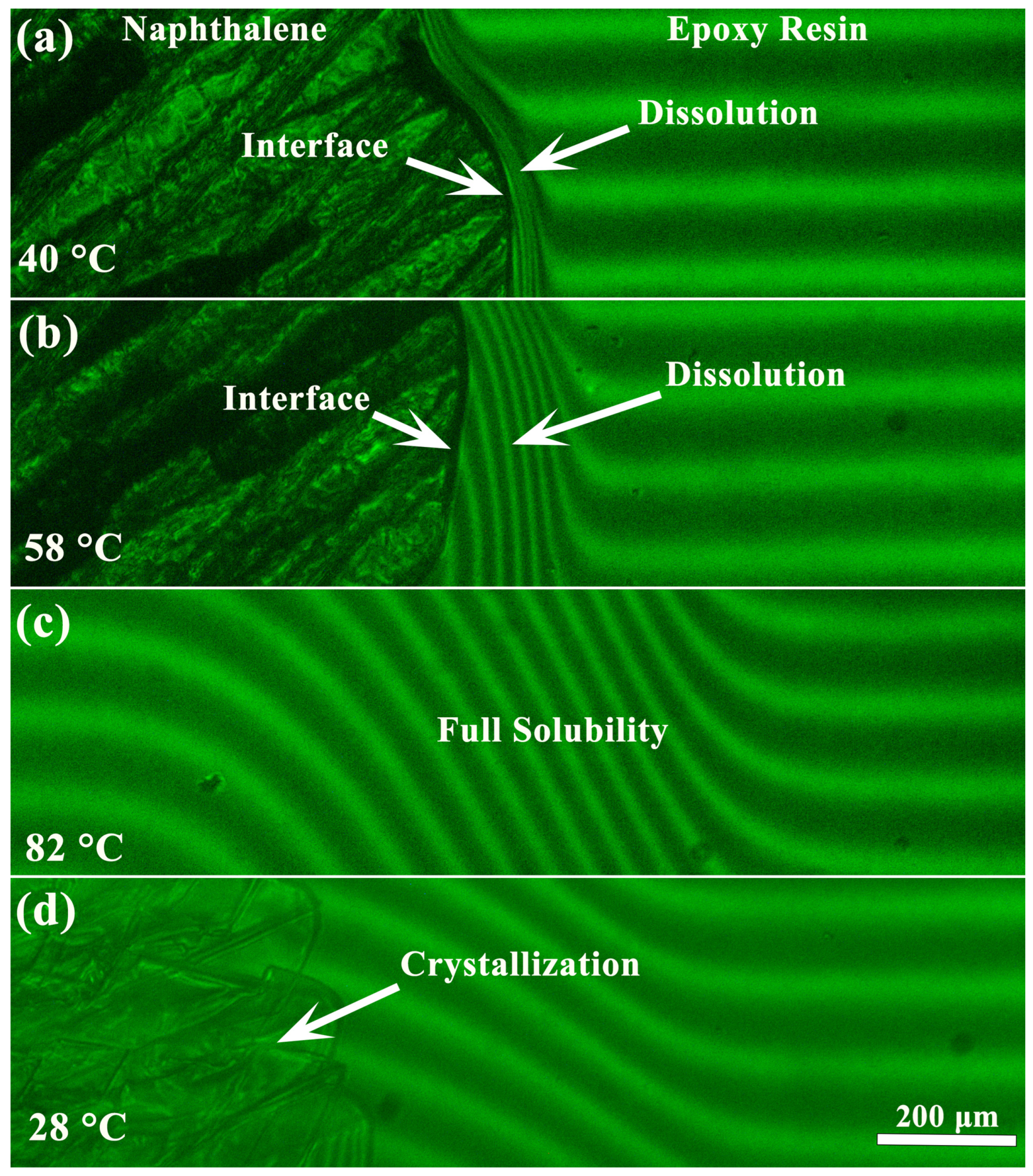 Polymers 16 03264 g001