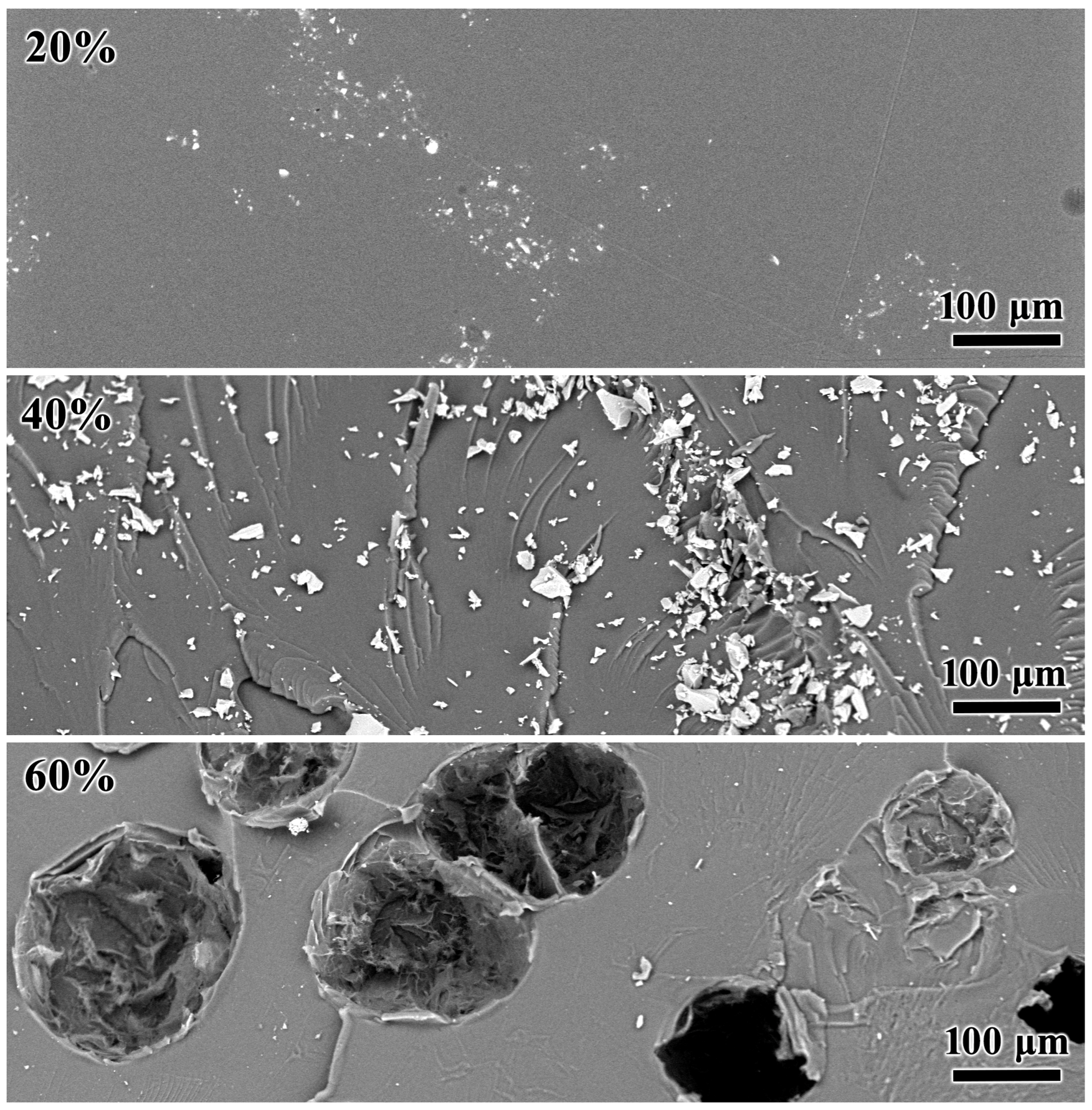 Polymers 16 03264 g008