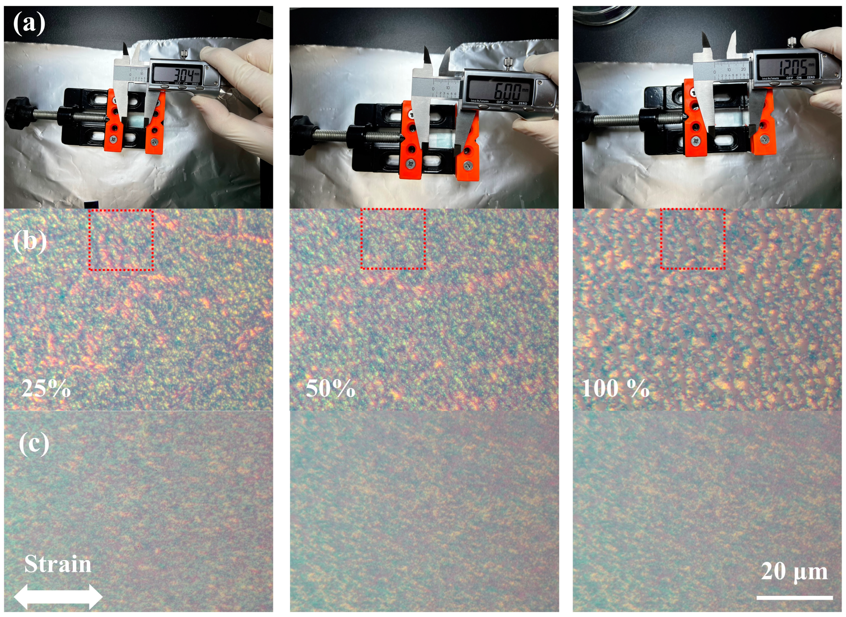 Polymers 16 03287 g006