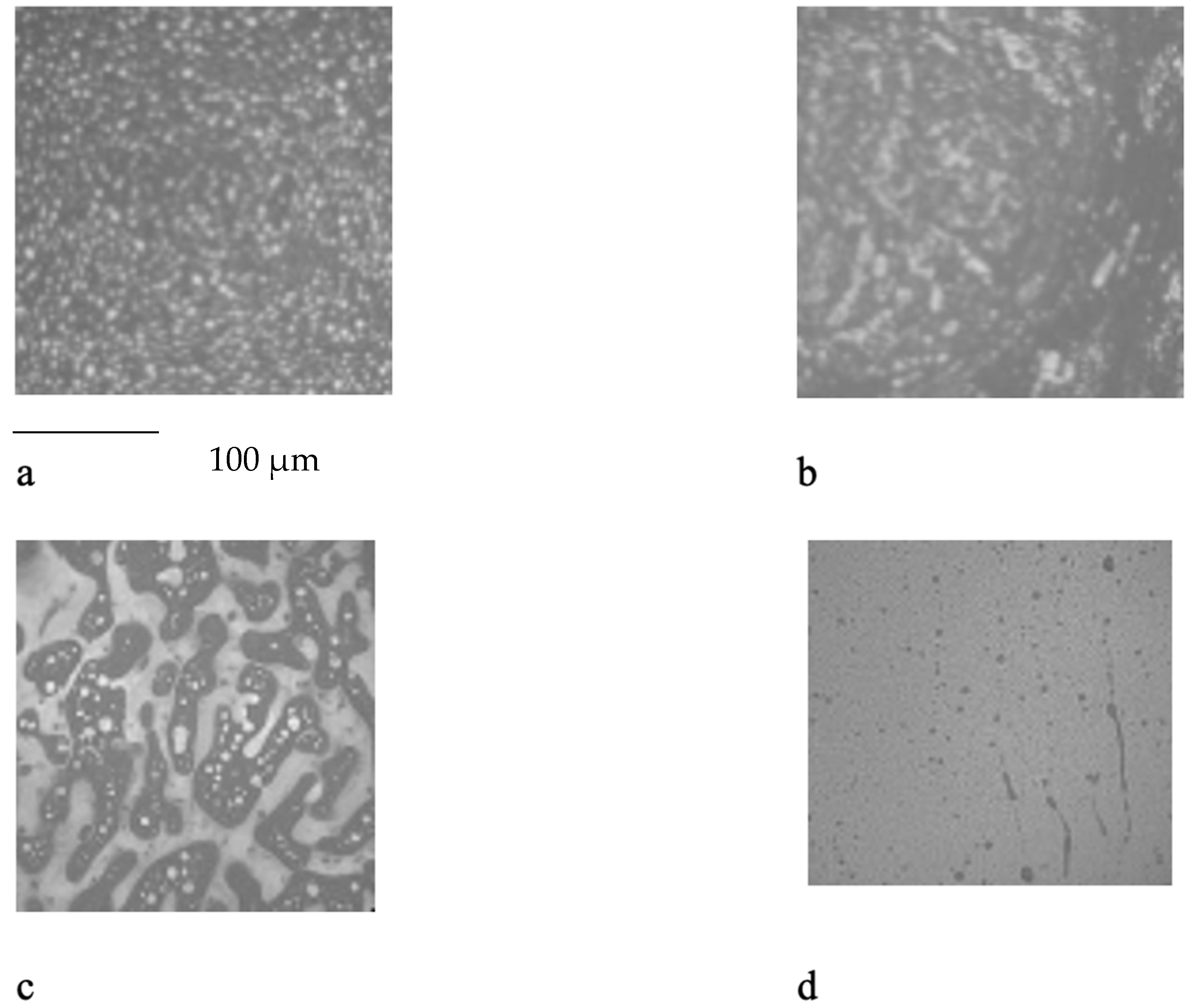 Polymers 16 03300 g001 Polymers 16 03300 g001