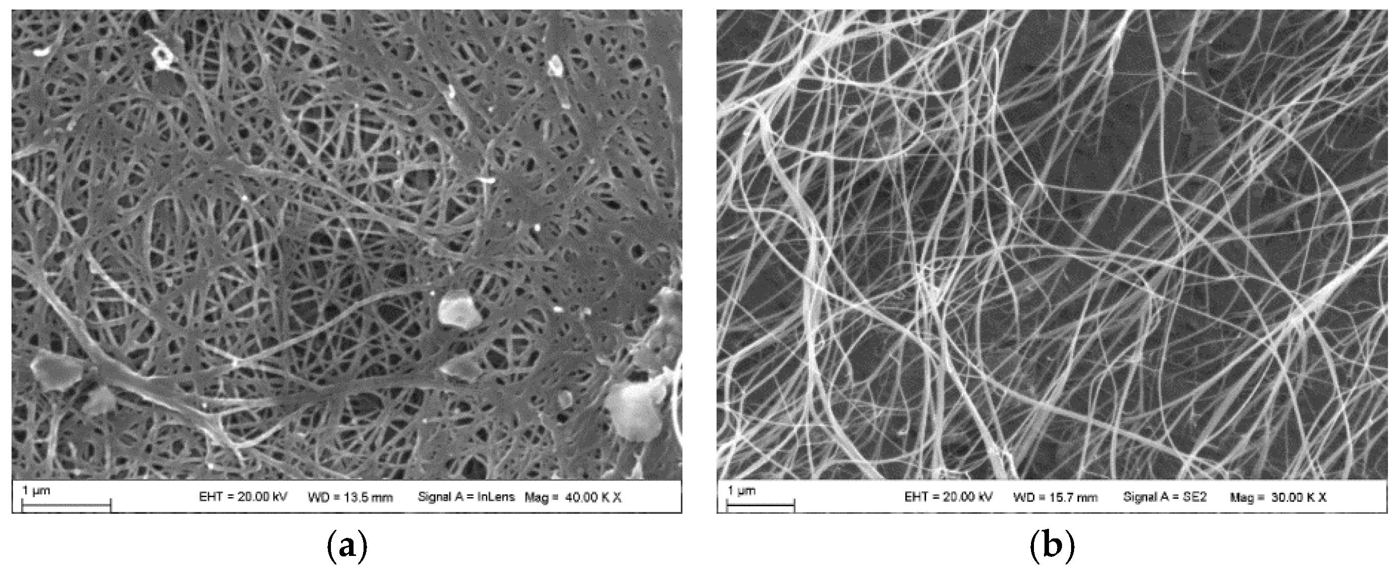 Polymers 16 03307 g003