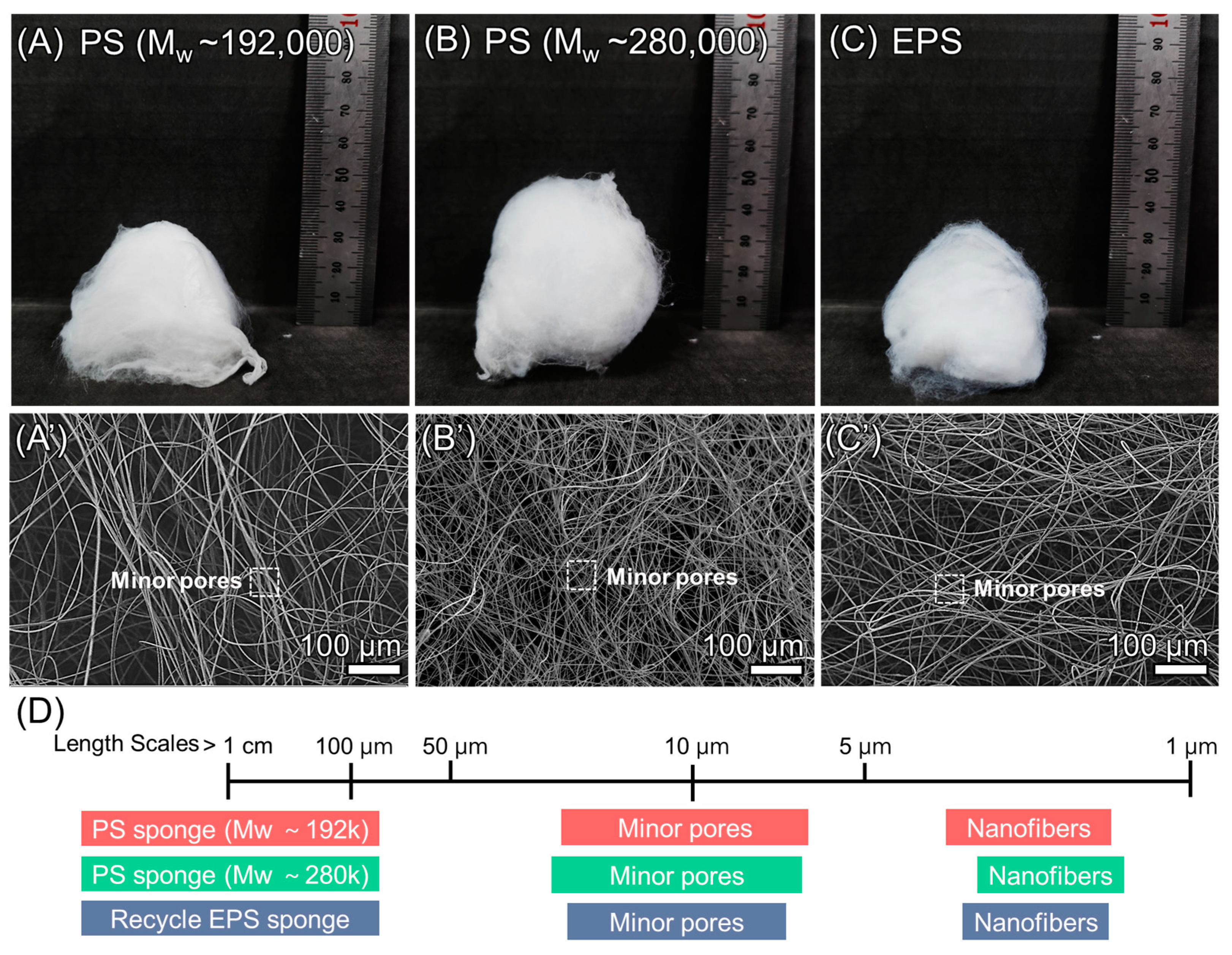 Polymers 16 03322 g005