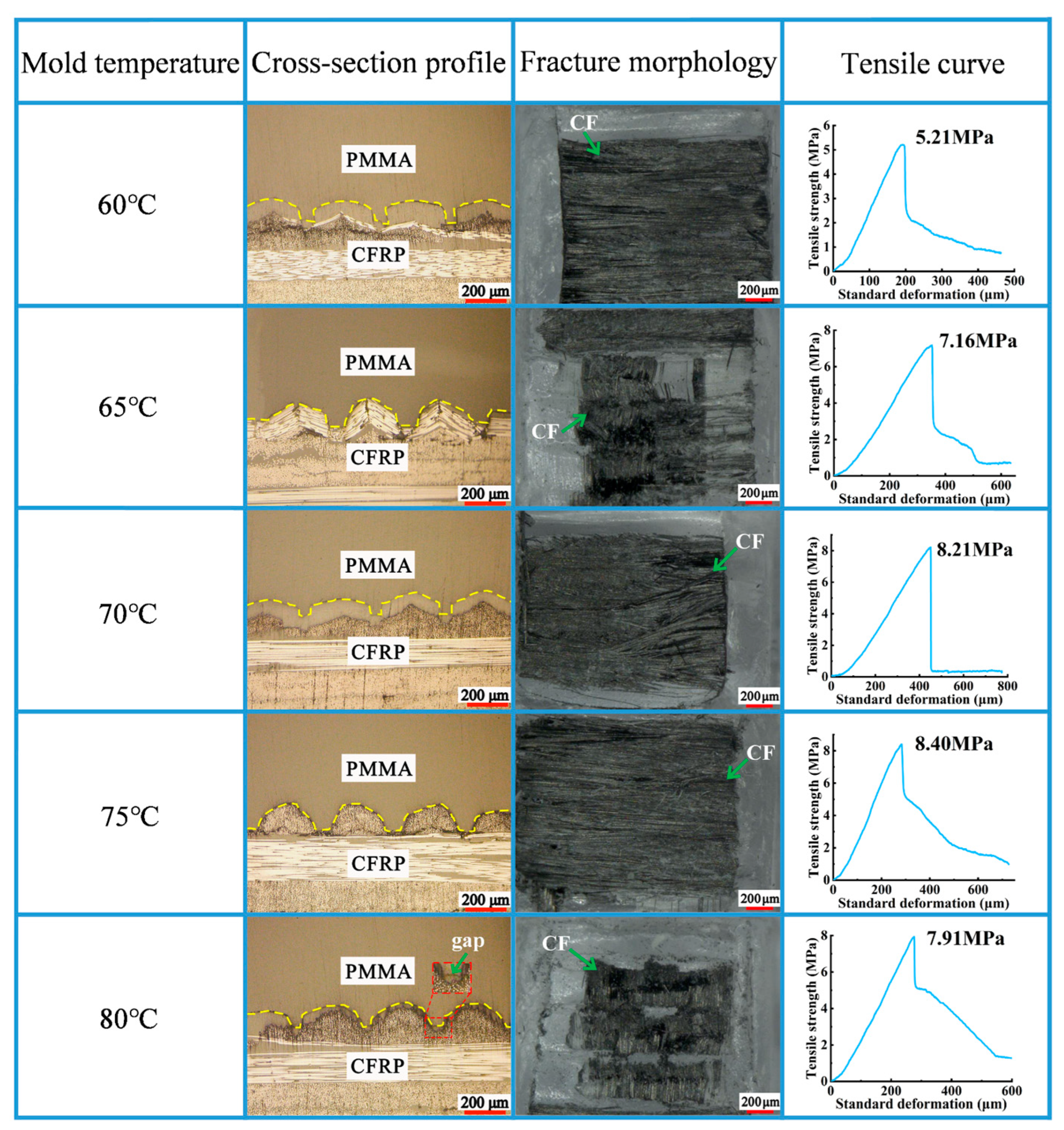 Polymers 16 03338 g005