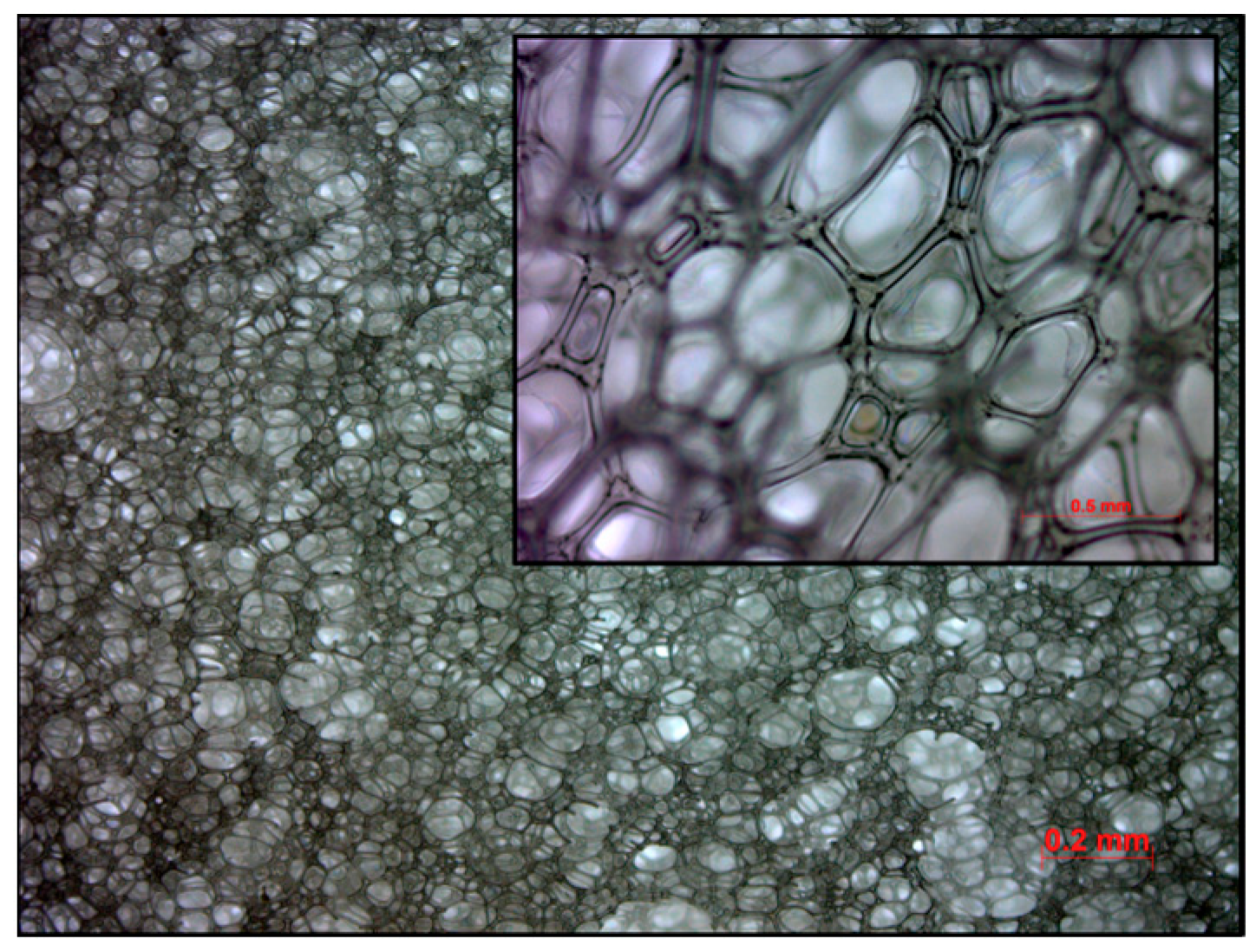Polymers 16 03342 g003