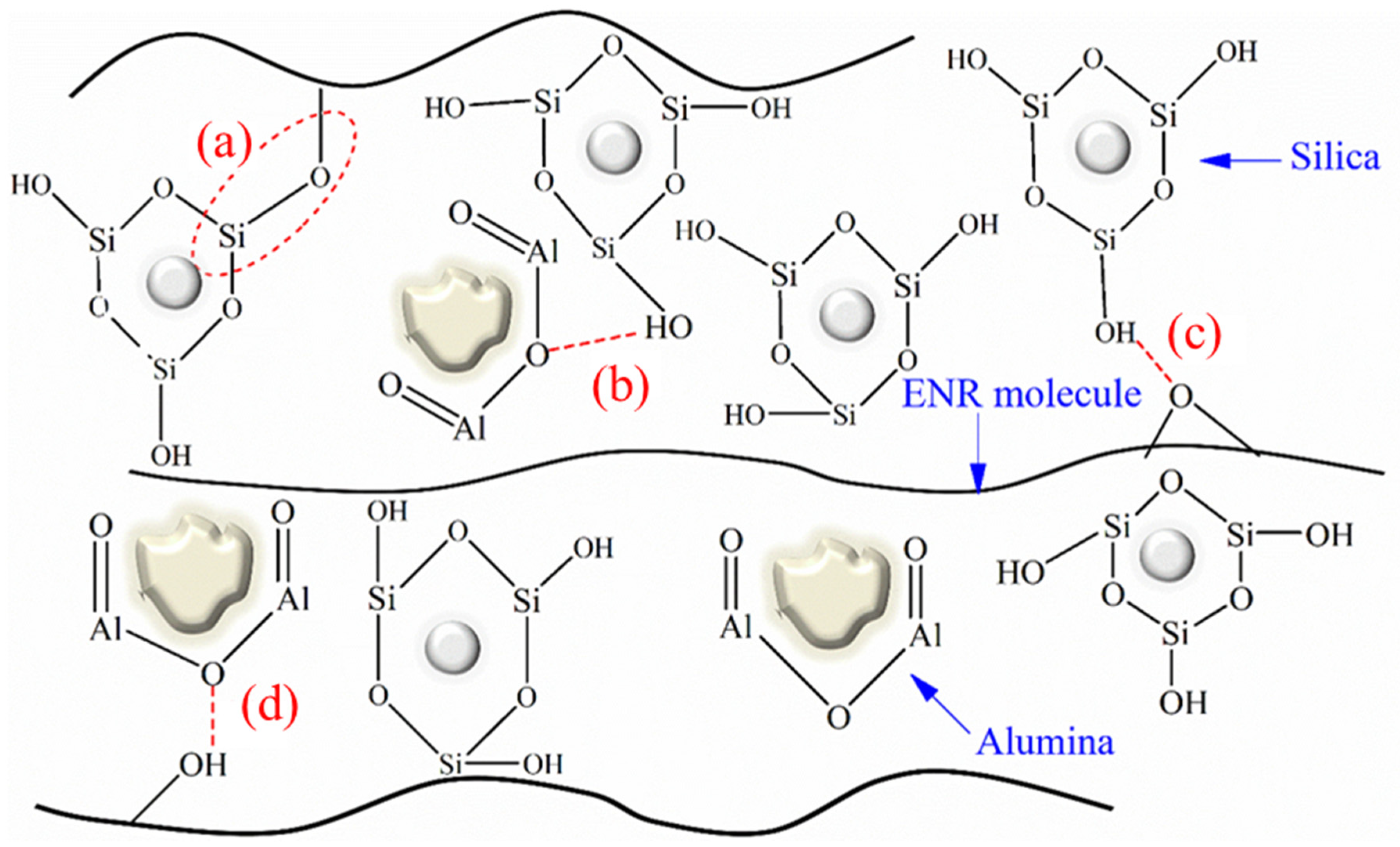 Polymers 16 03362 g003 Polymers 16 03362 g003