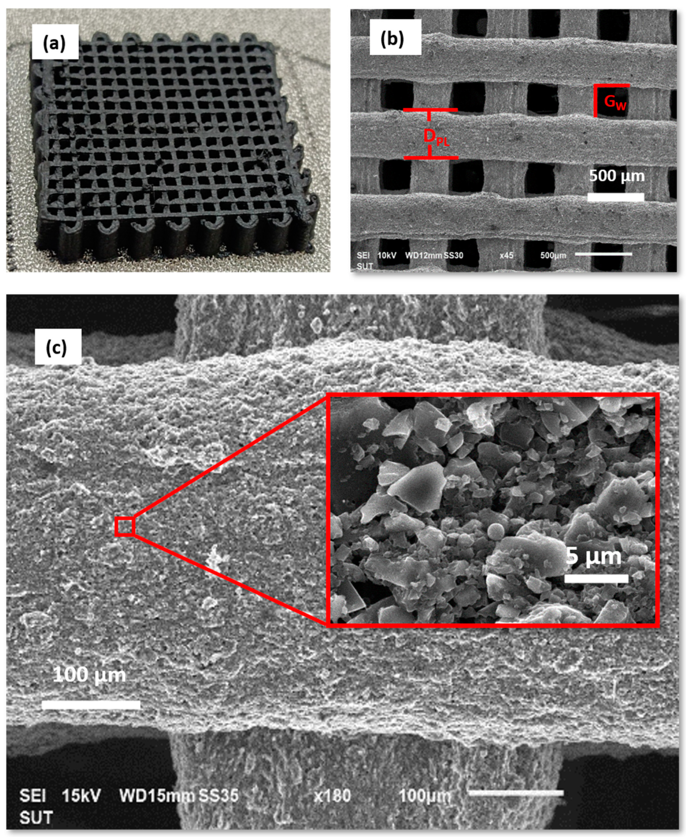 Polymers 16 03369 g005
