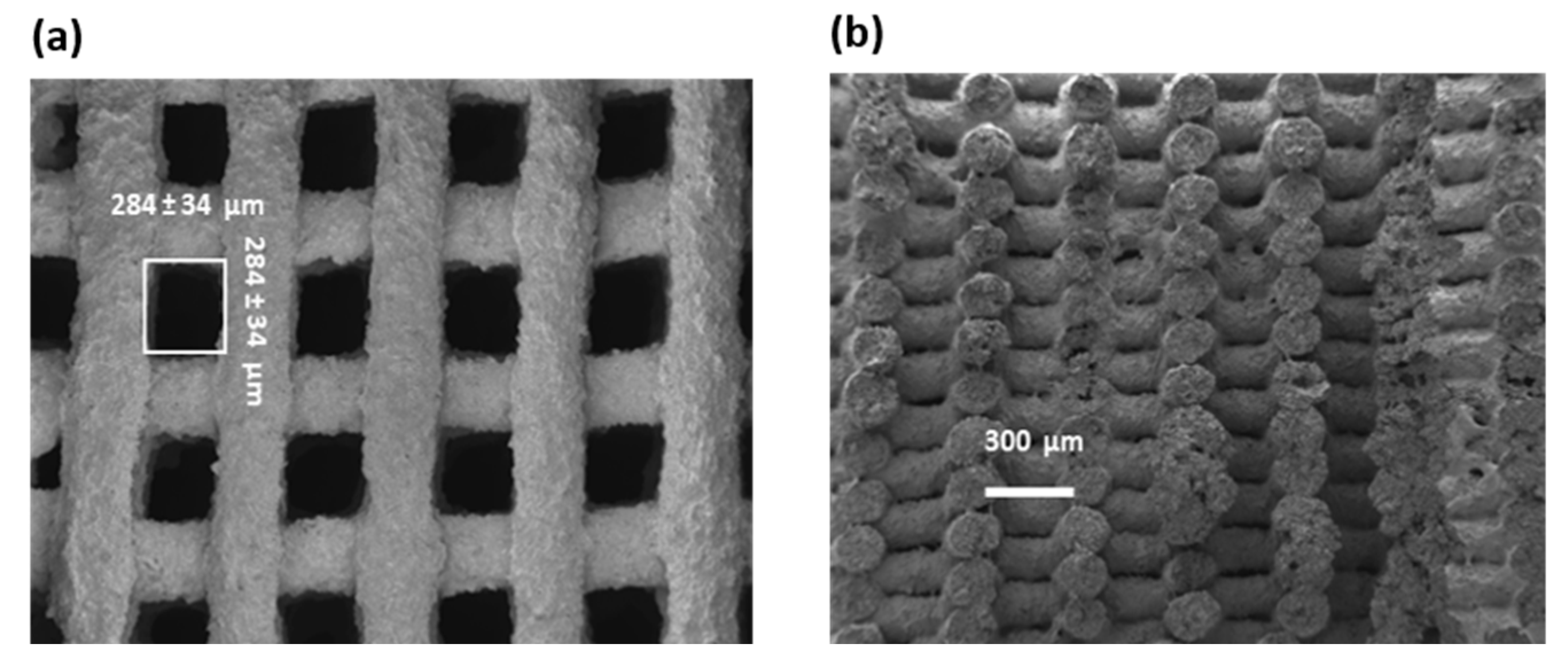 Polymers 16 03369 g008
