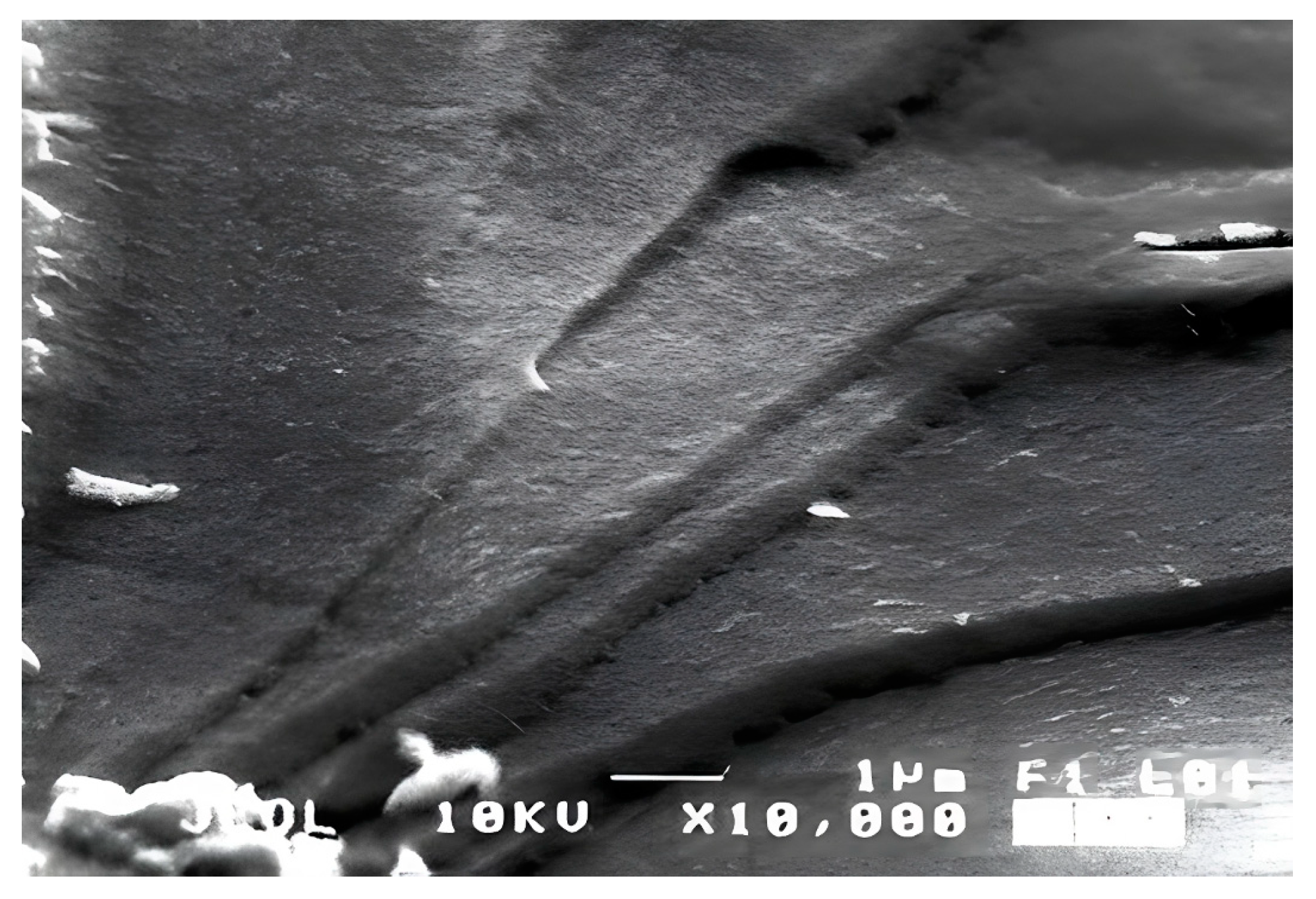 Polymers 16 03370 g001 Polymers 16 03370 g001