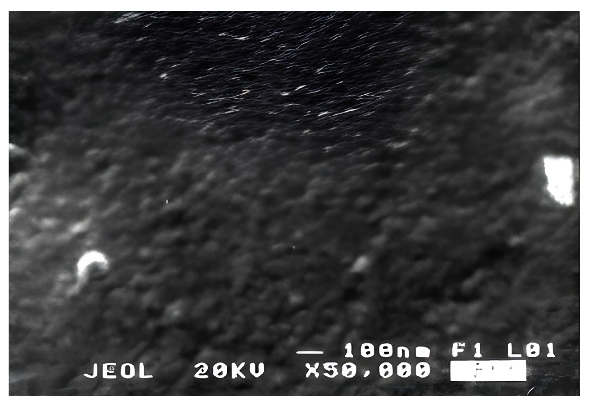 Polymers 16 03370 g002 Polymers 16 03370 g002