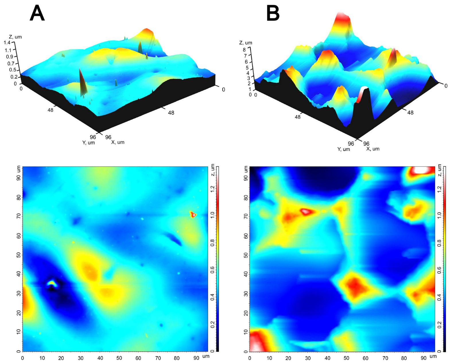 Polymers 16 03373 g002