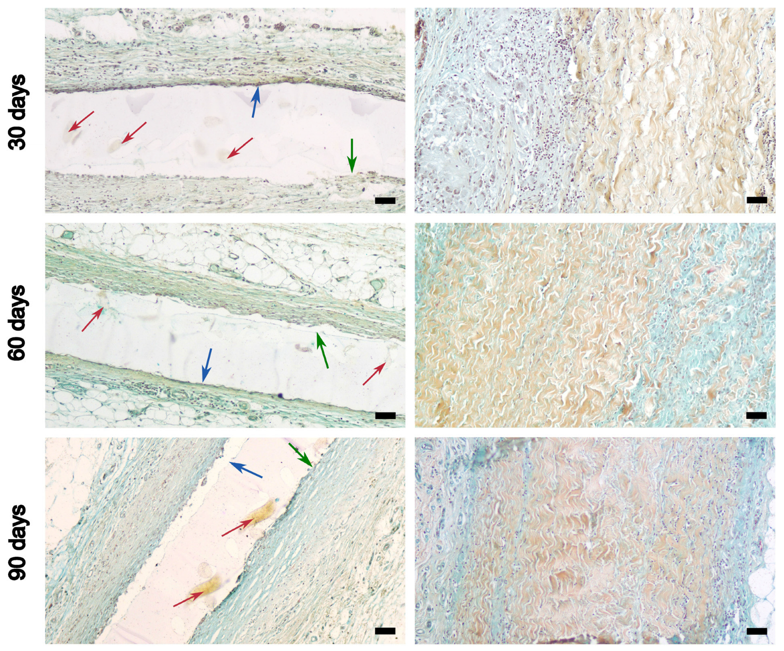 Polymers 16 03373 g007
