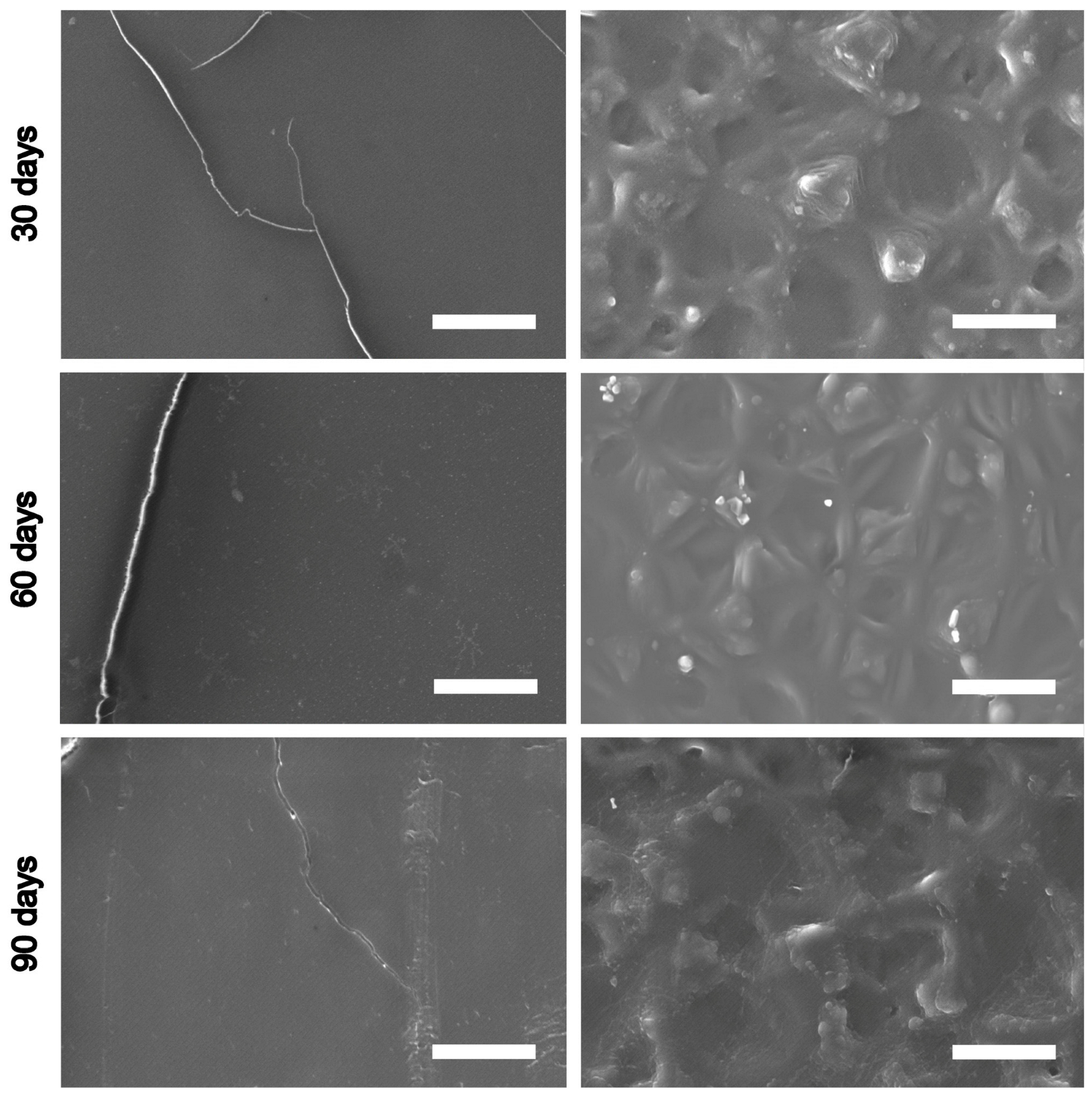 Polymers 16 03373 g008