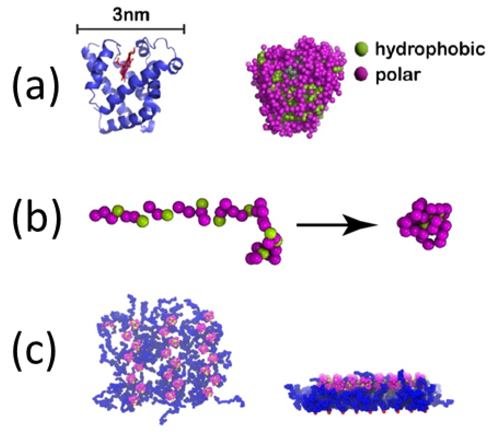 Polymers 16 03400 g023 Polymers 16 03400 g023