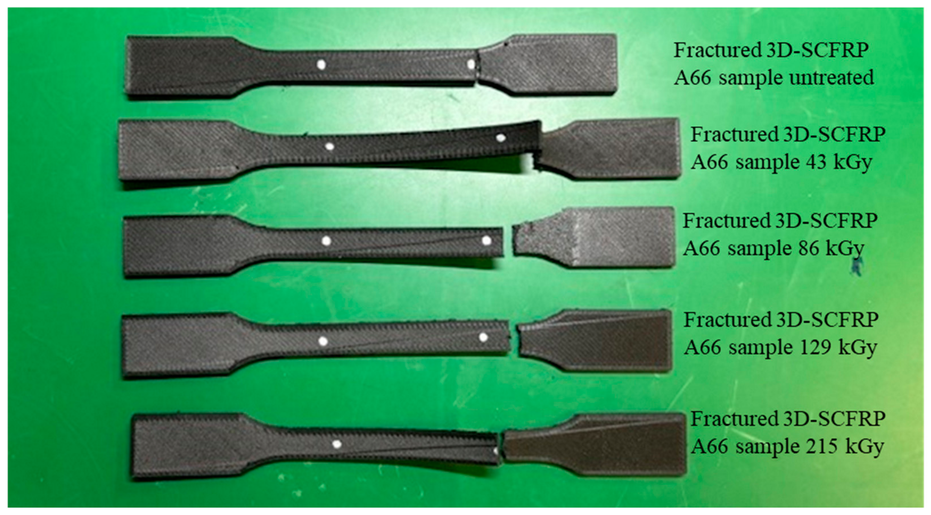 Polymers 16 03408 g005 Polymers 16 03408 g005